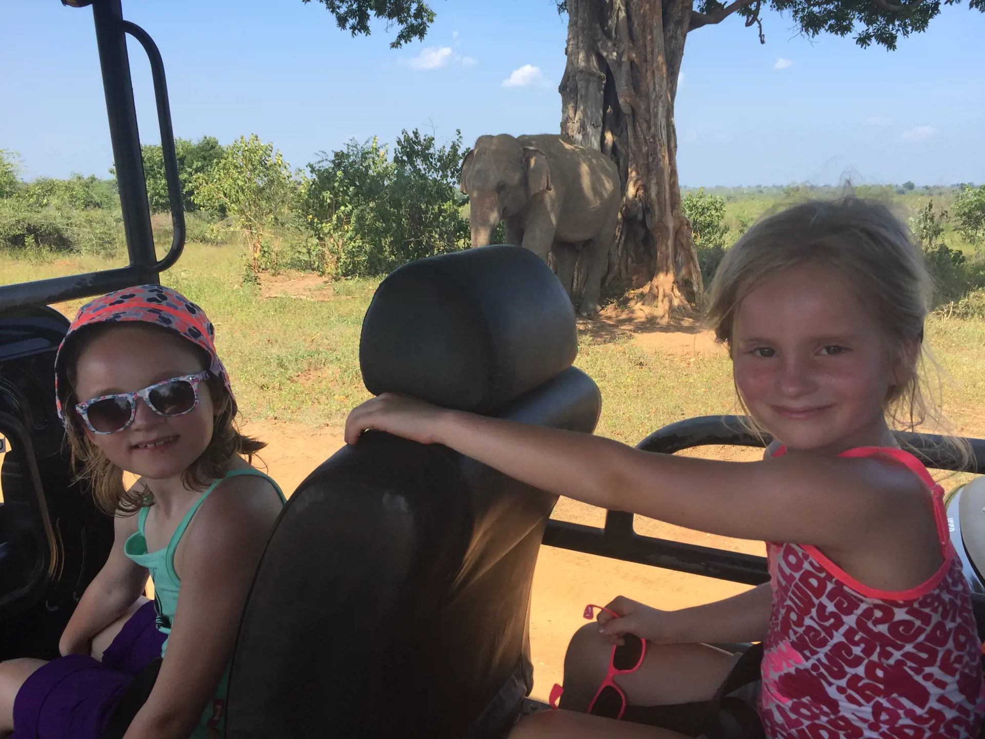 ELEFANTER - Det er en kæmpe oplevelse for børnene at komme helt tæt på elefanterne i Udawalawe.