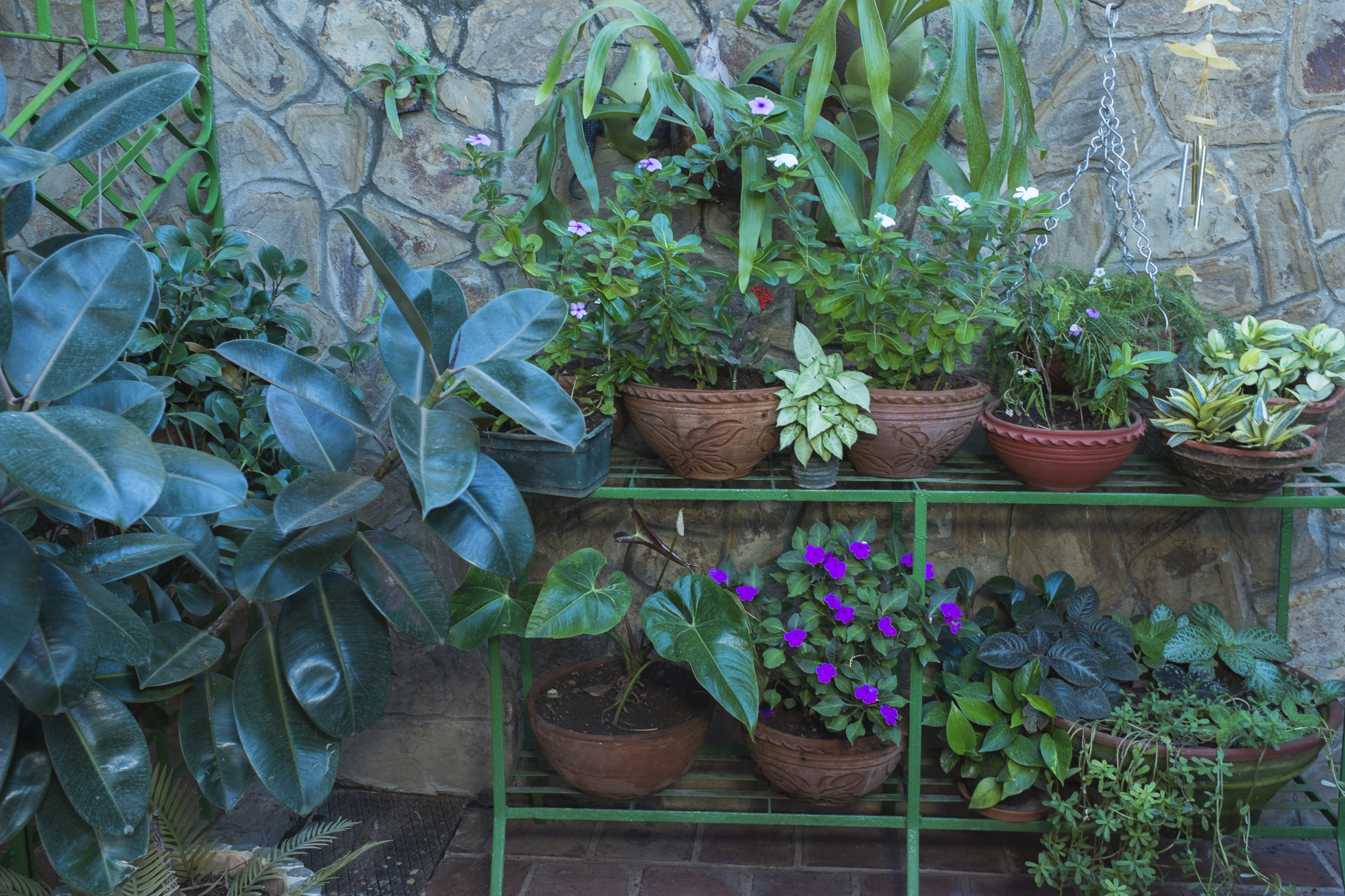 2015 01 27 Cuba 6518 Fuji_6465.jpg