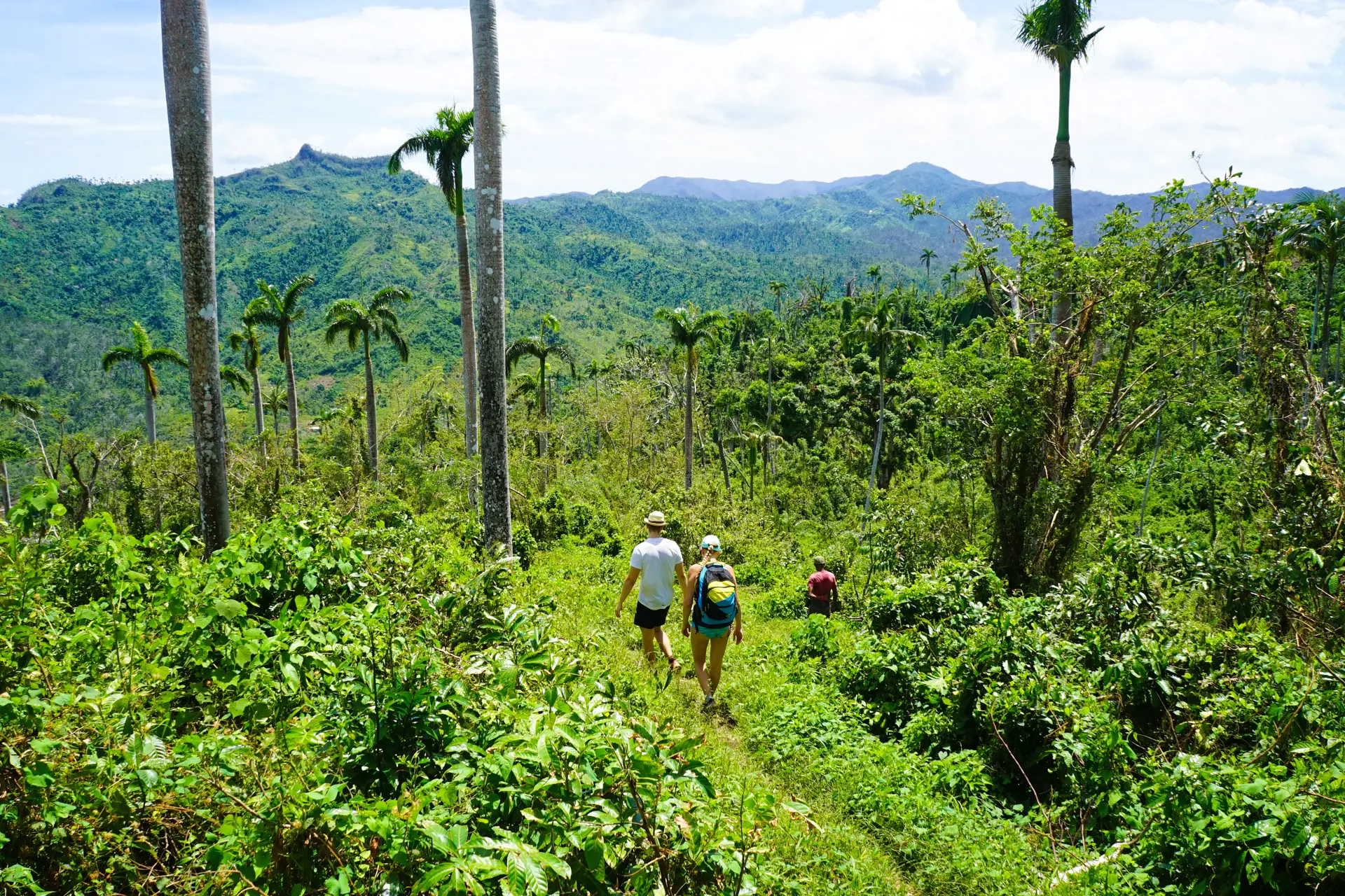 PANDEKAGEBJERGET - Ved Baracoa kan I tage på udflugt til en frodig nationalpark og pandekagebjerget El Yunque. 