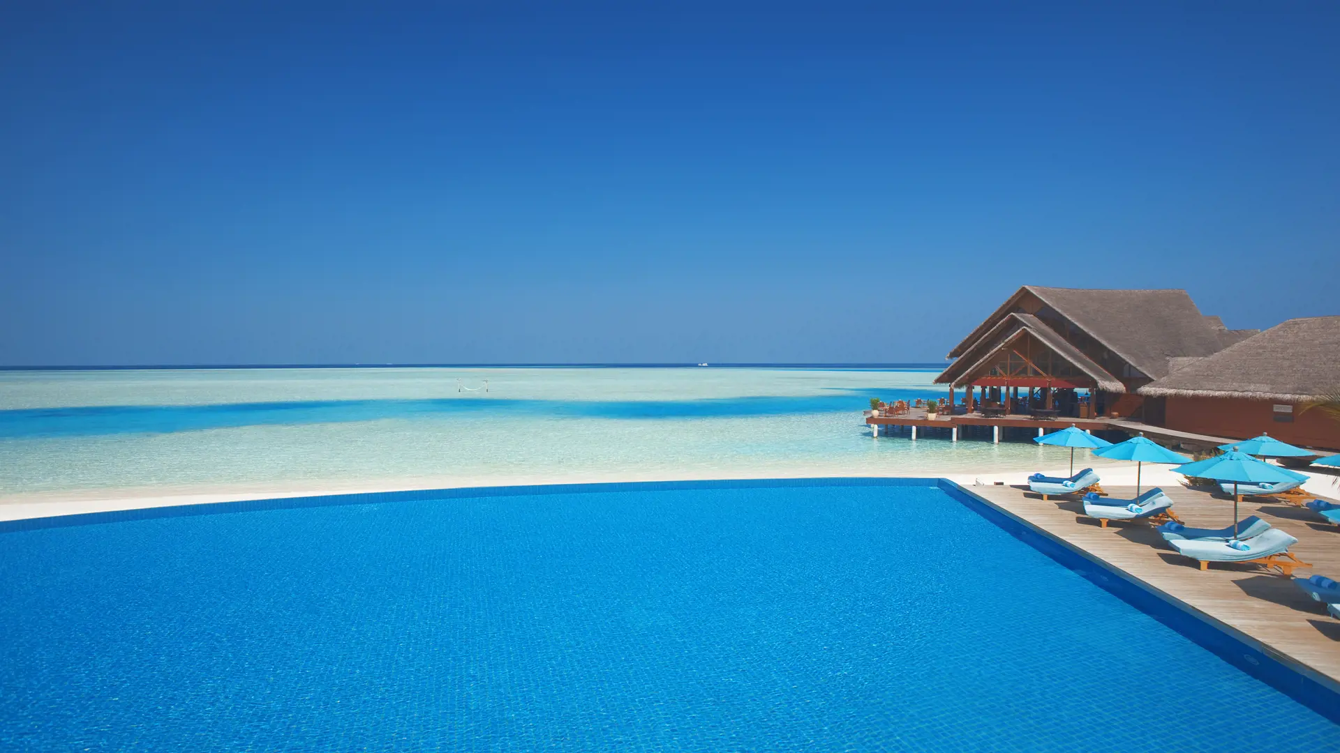 POOL ELLER HAV - På flere af vores rejser til Maldiverne kan I både for pool og krystalklart hav. Kunne det ikke være okay at ligge her?