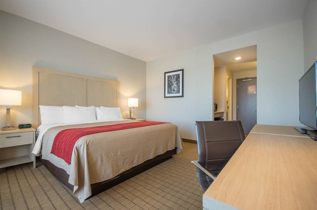 cna27nk1.jpg.1024x0.jpg (1)