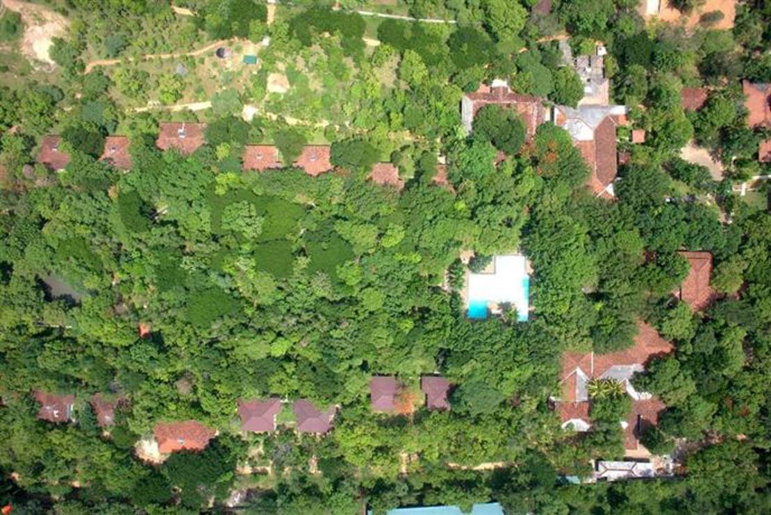 palm garden 4.jpg