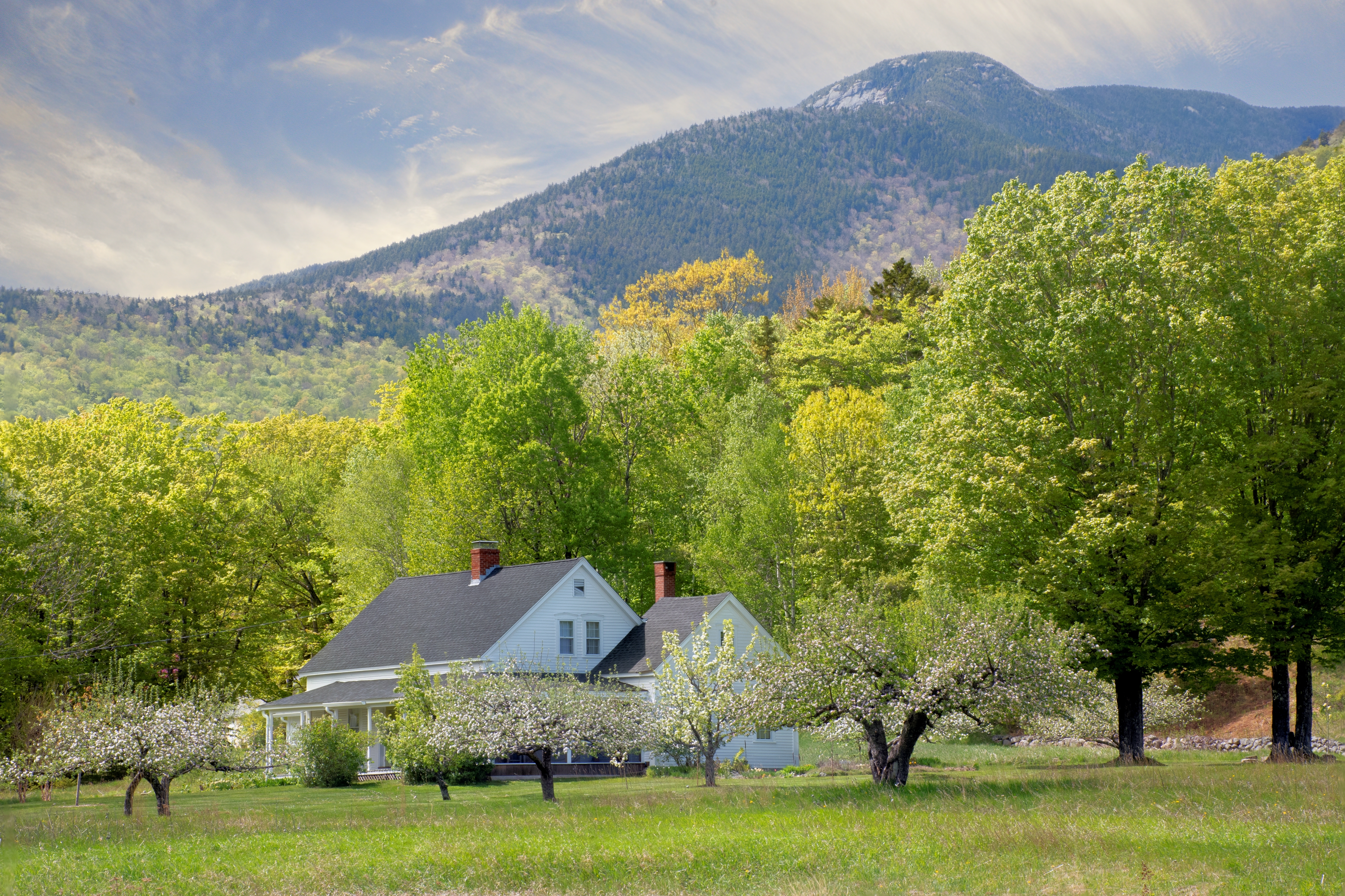 Shutterstock 2389692639