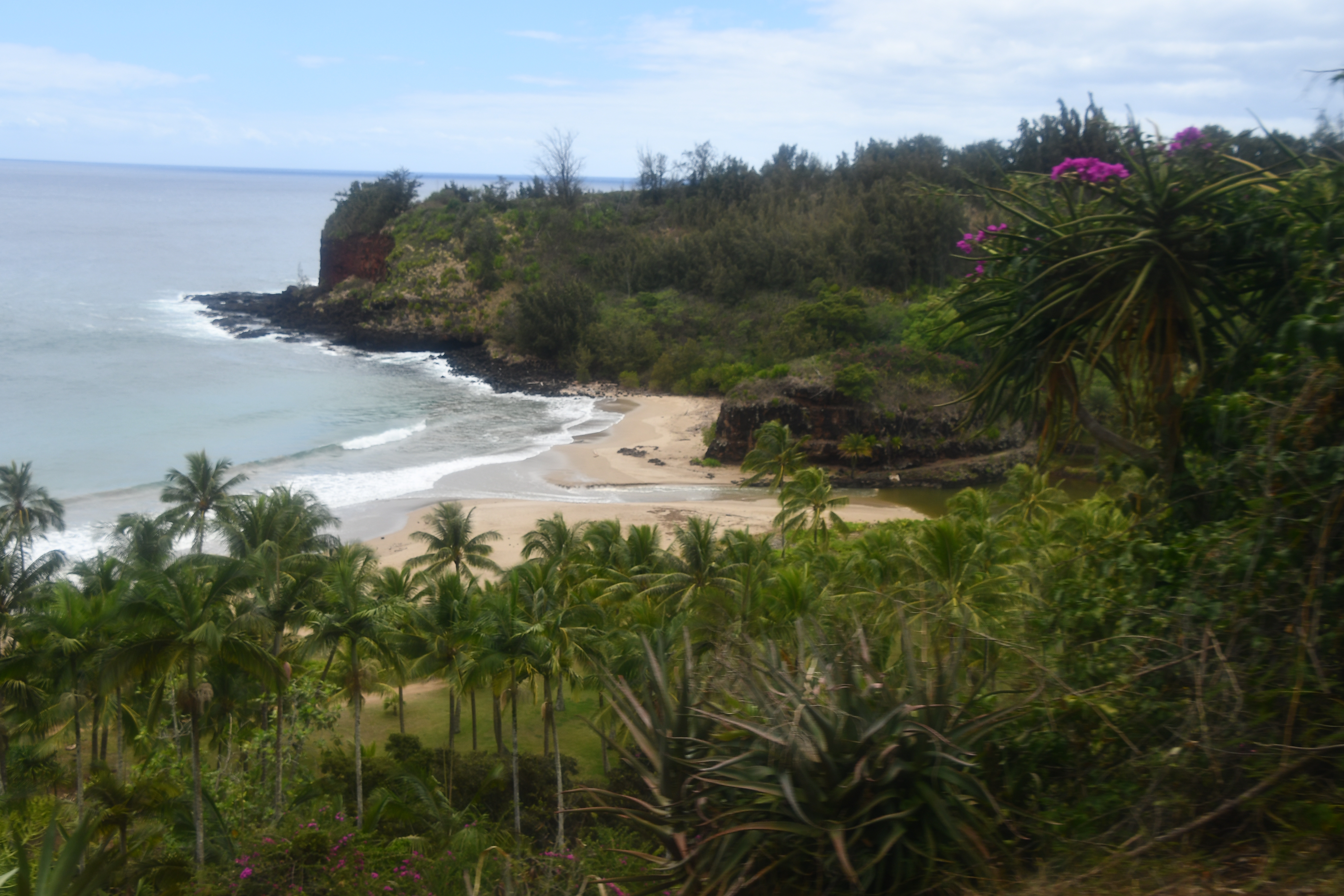 Allerton Garden, Kauai´, Hawaii Shutterstock 2621335945