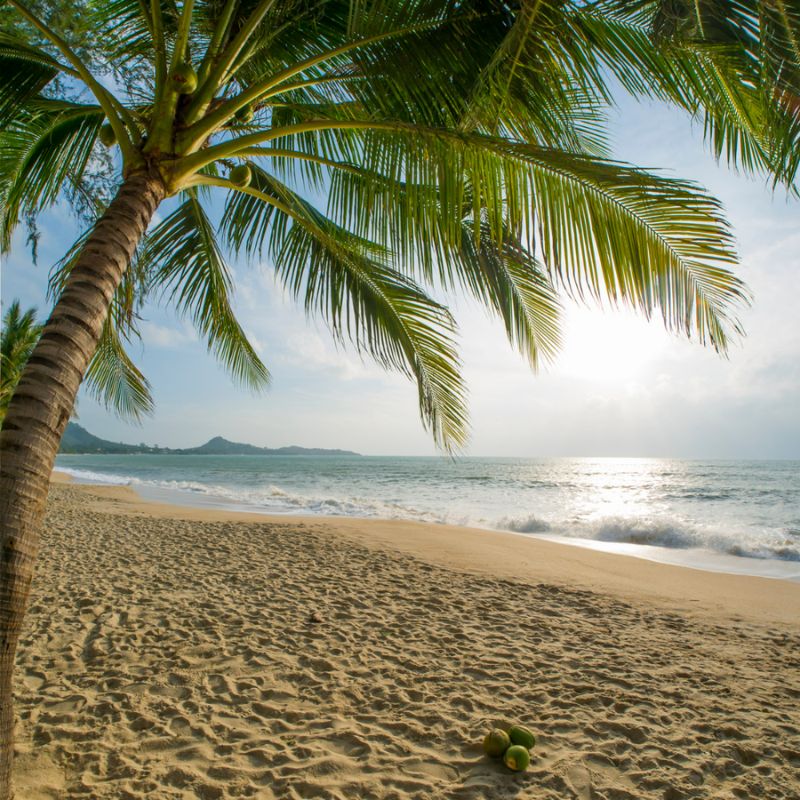 Budgetvenlig Badeferie På Lamai