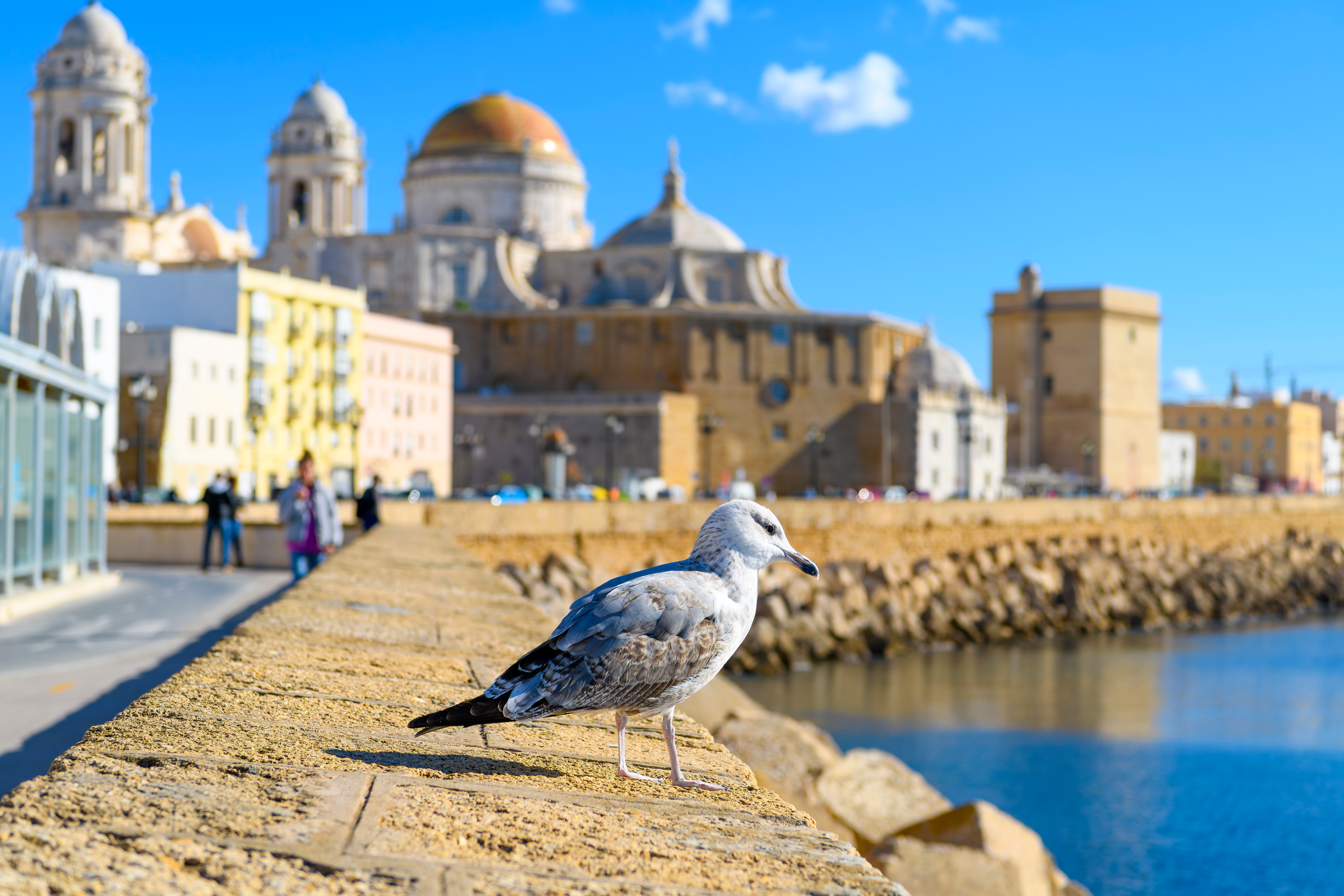 Cadiz, Spanien Shutterstock 2396607869