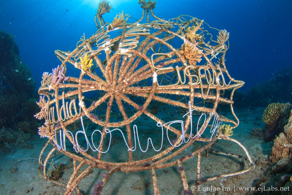 4.Bio Rock Pemuteran Bali