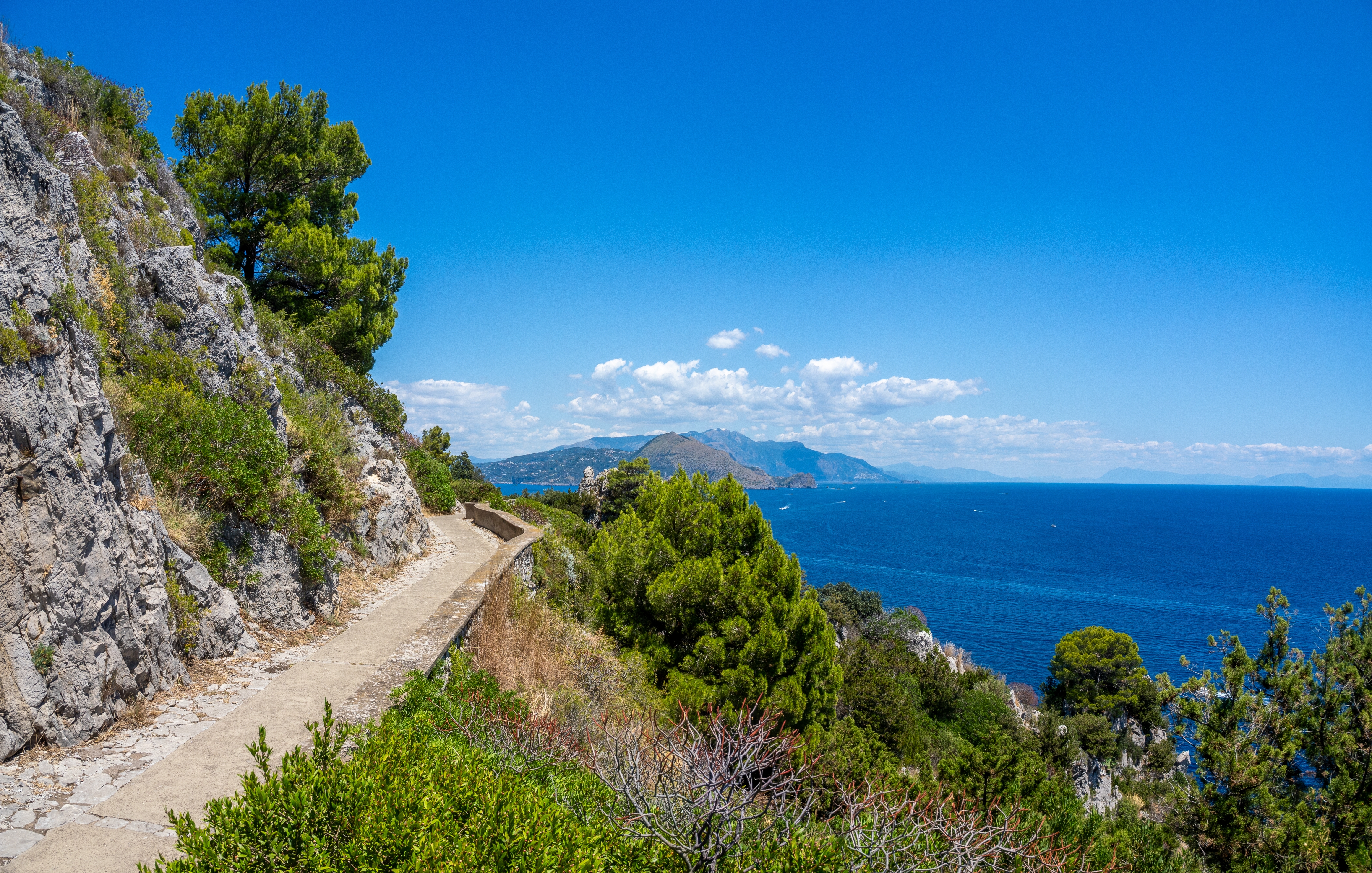 Shutterstock 2665937525