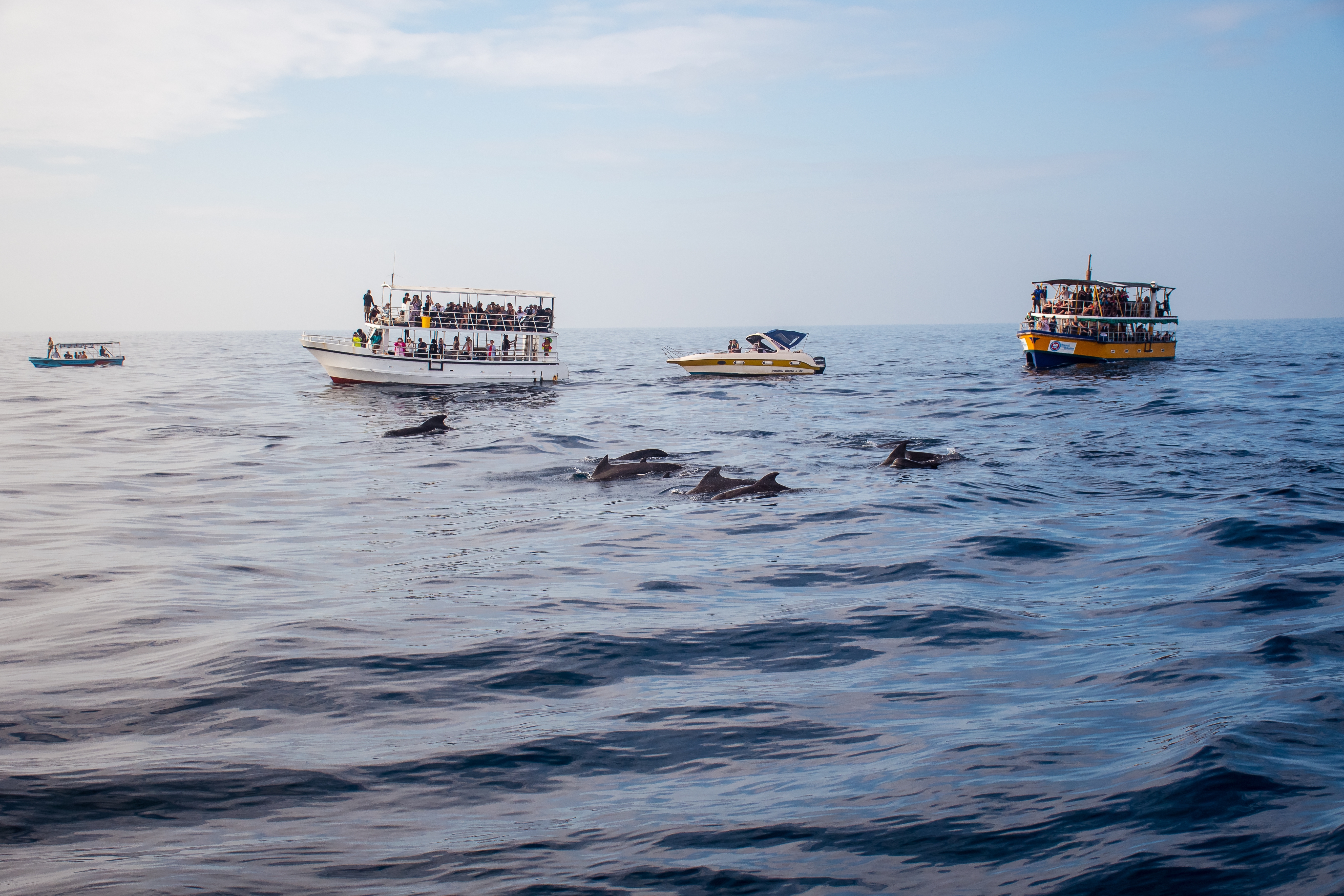 Shutterstock 2733758629 Turister Nyd Hvalsafari I Det Indiske Ocean, Mirissa, Sri Lanka 12 Jan 2026