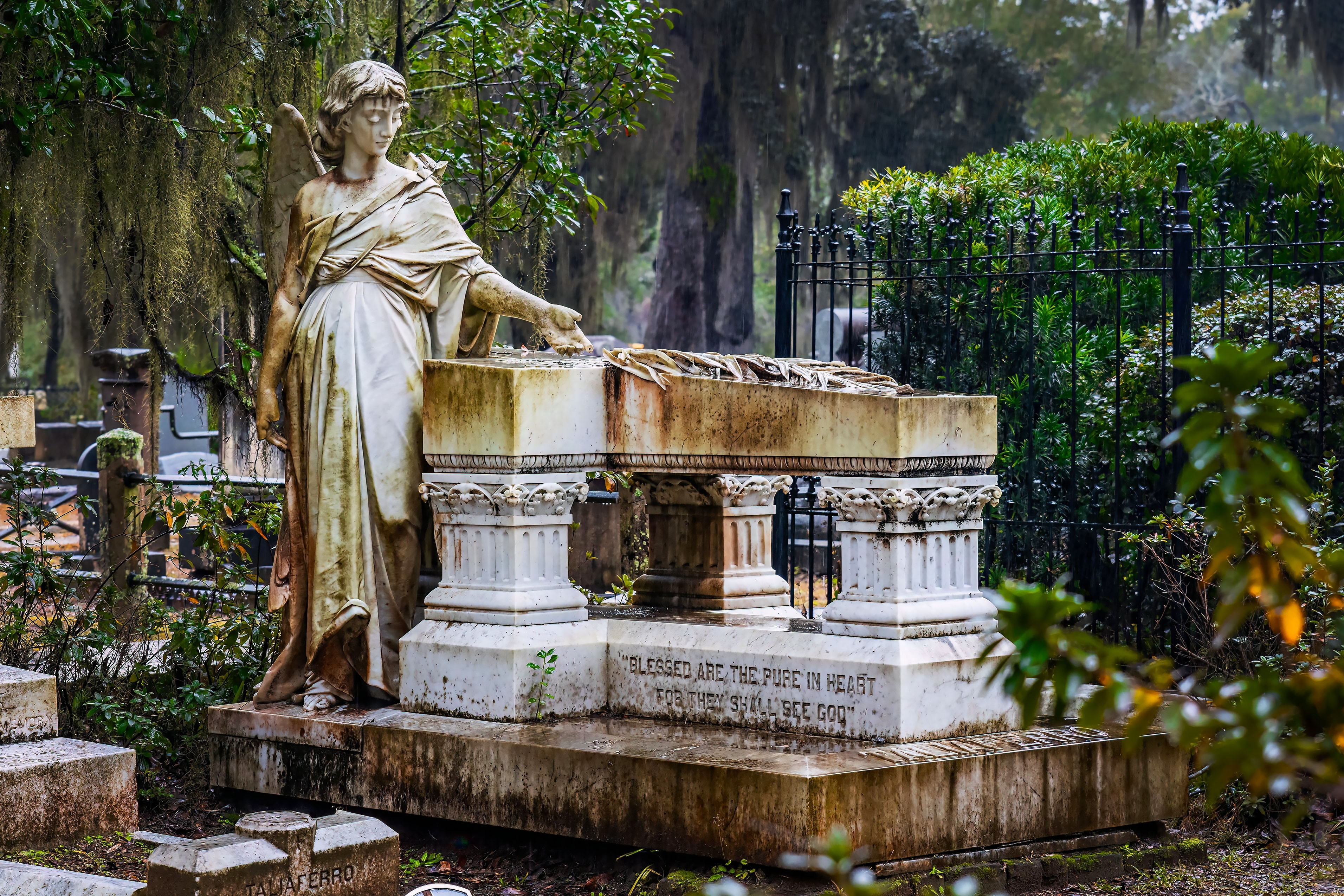Shutterstock 2425570275 Savannah, GA, USA 12 26 2023 Taliaferro Angel Monument At Bonaventure Cemetery At Savannah Georgia