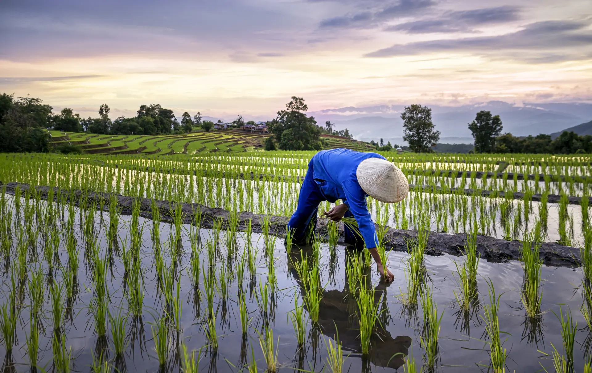 Adobestock 292909890