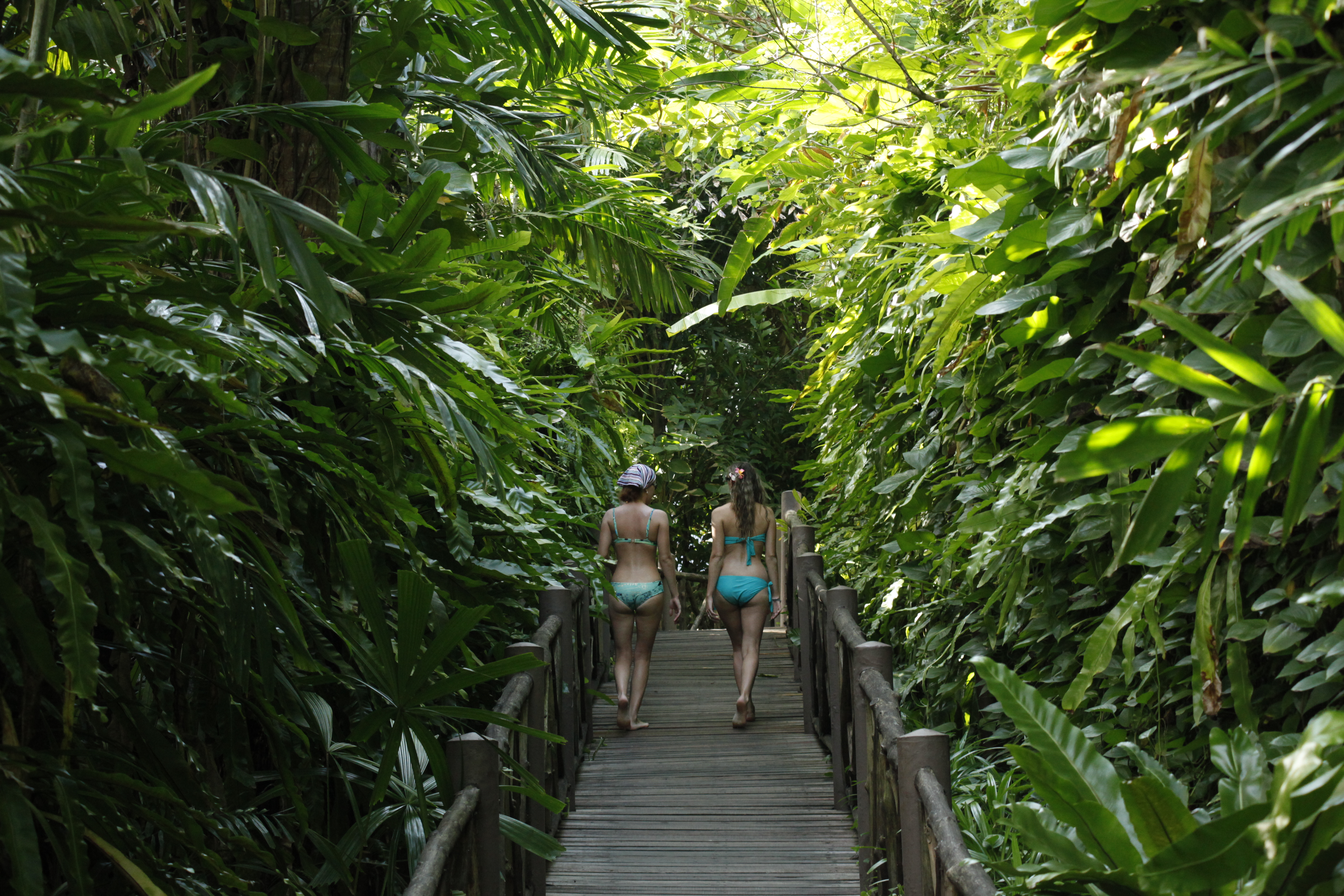 Walk Way To Beach