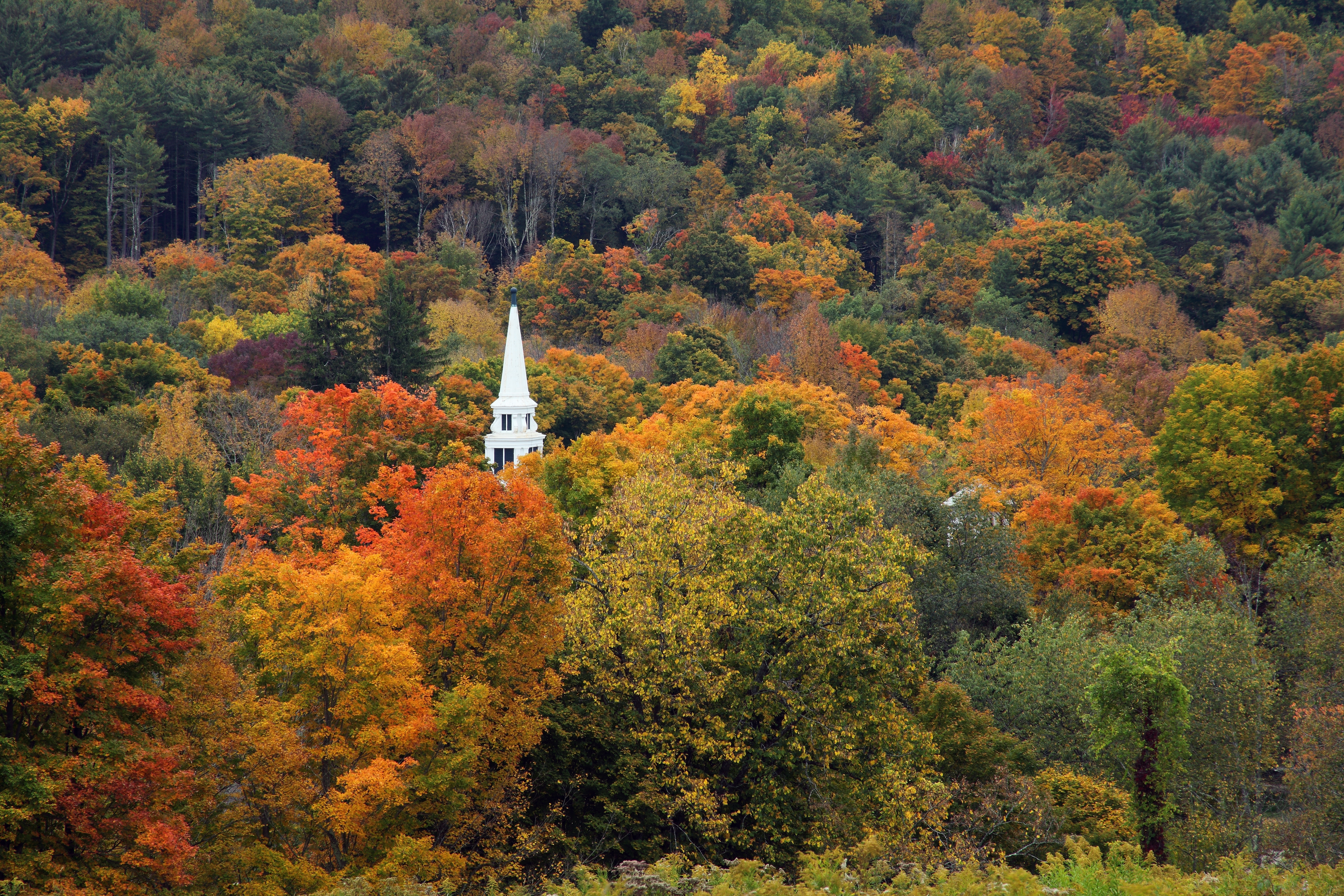 Shutterstock 2537121569