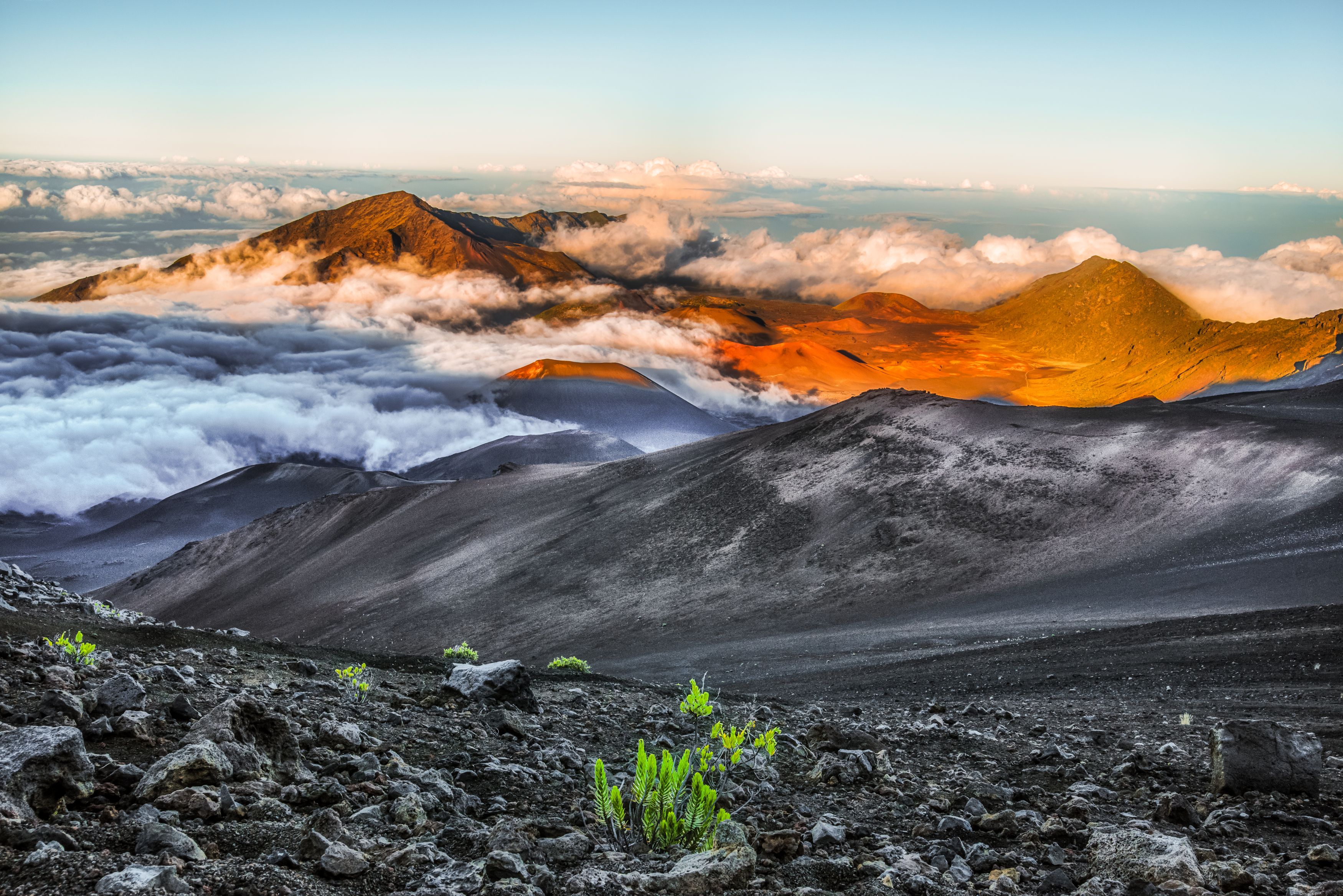 Hawaii Volcanoes National Park Shutterstock 1492799591