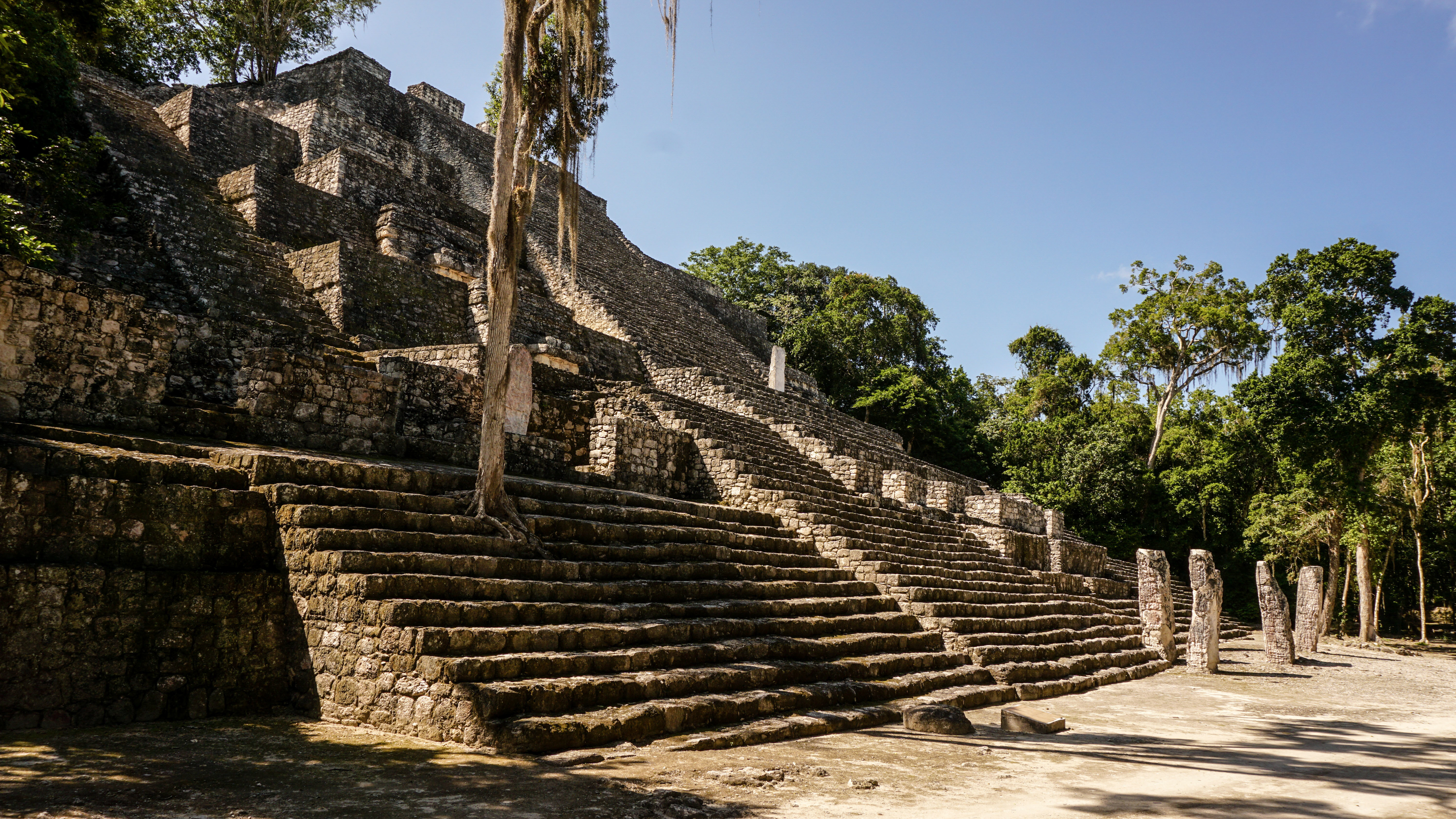 Mayaruiner med stentrappe og tempelpyramide i junglen i Mexico