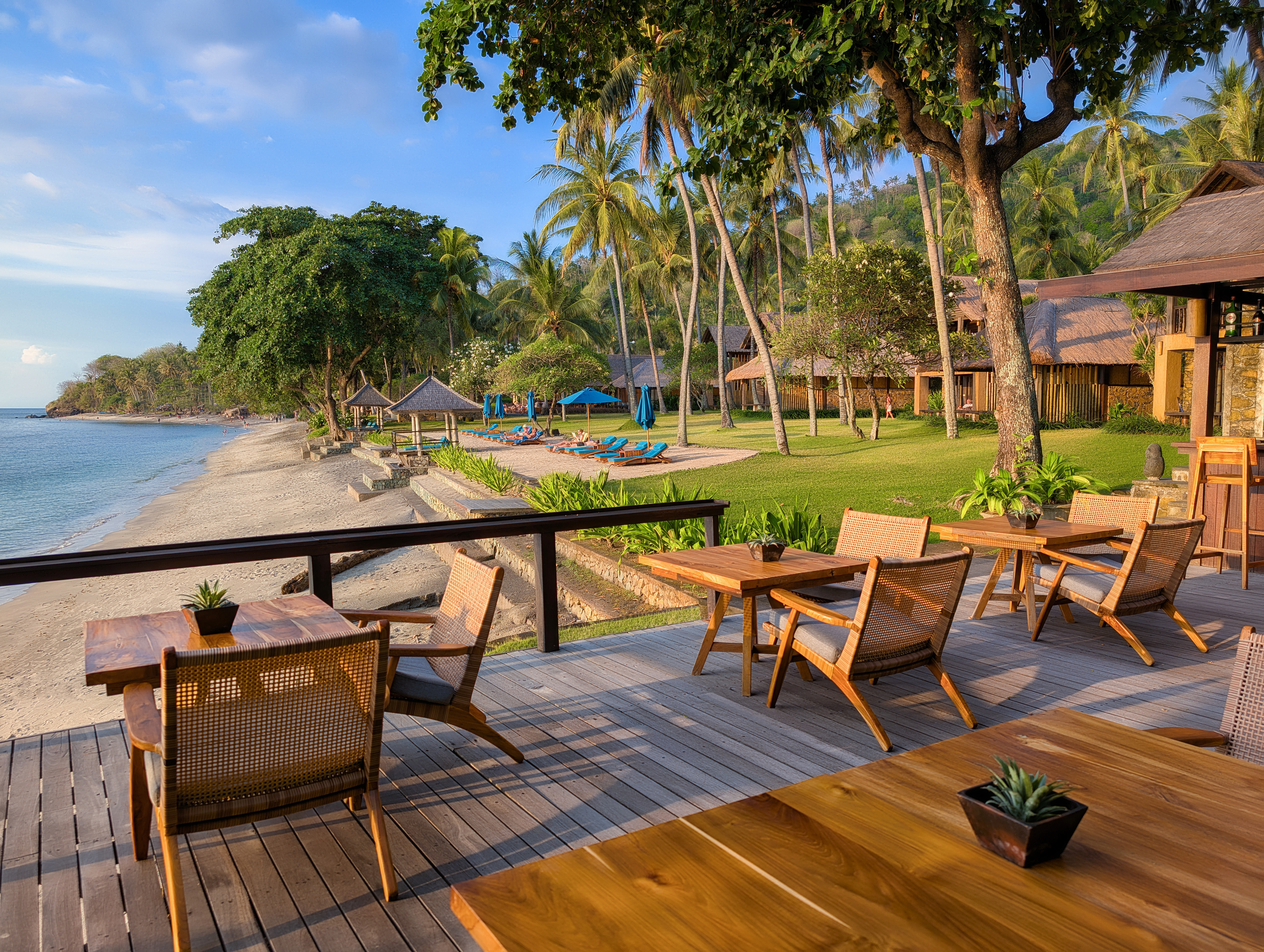 PXL 20241103 092543150.RAW 01.COVER Copy