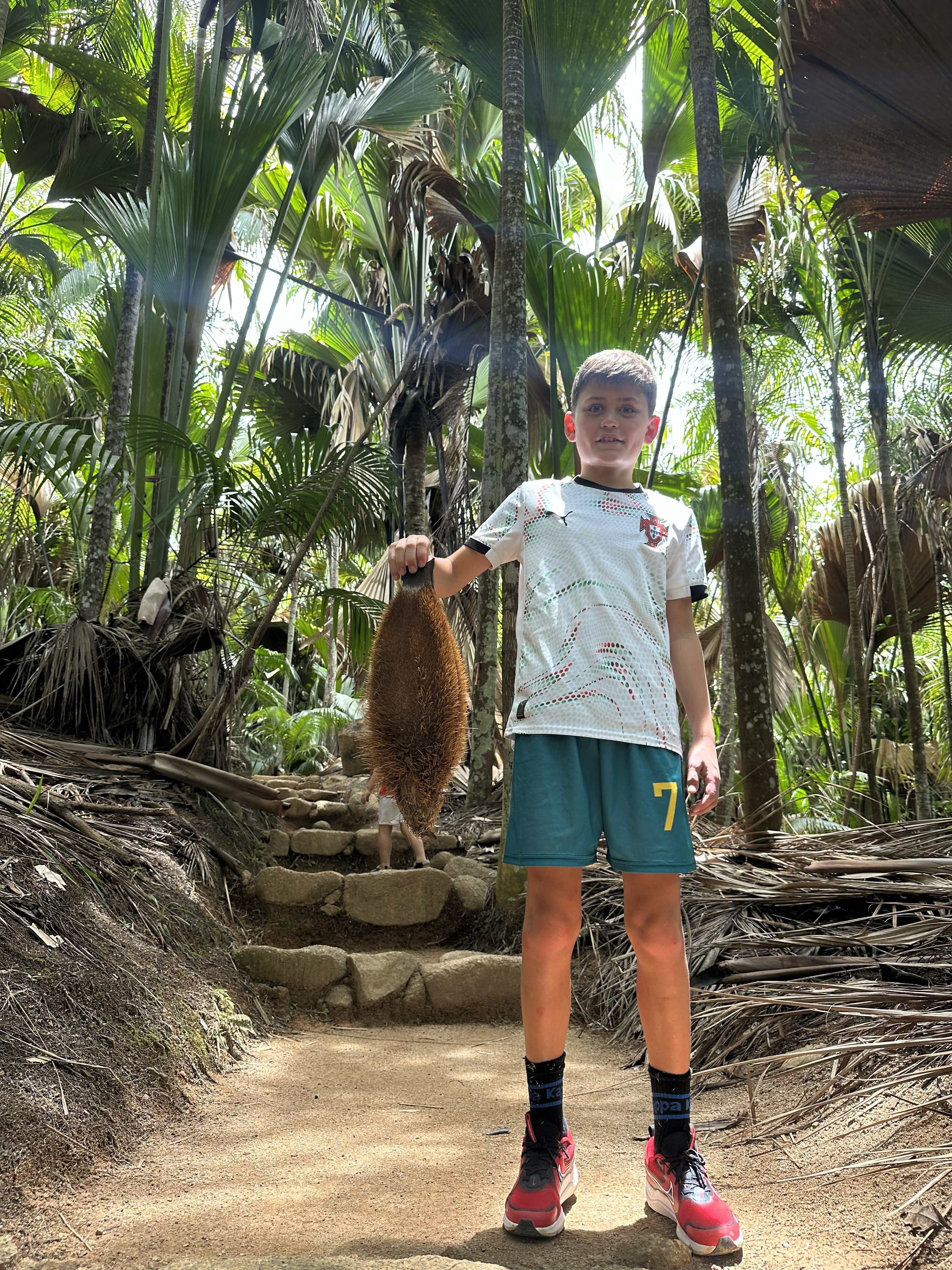 Seychellerne Praslin Vallée De Mai Unesco Oplevelser Med Boern