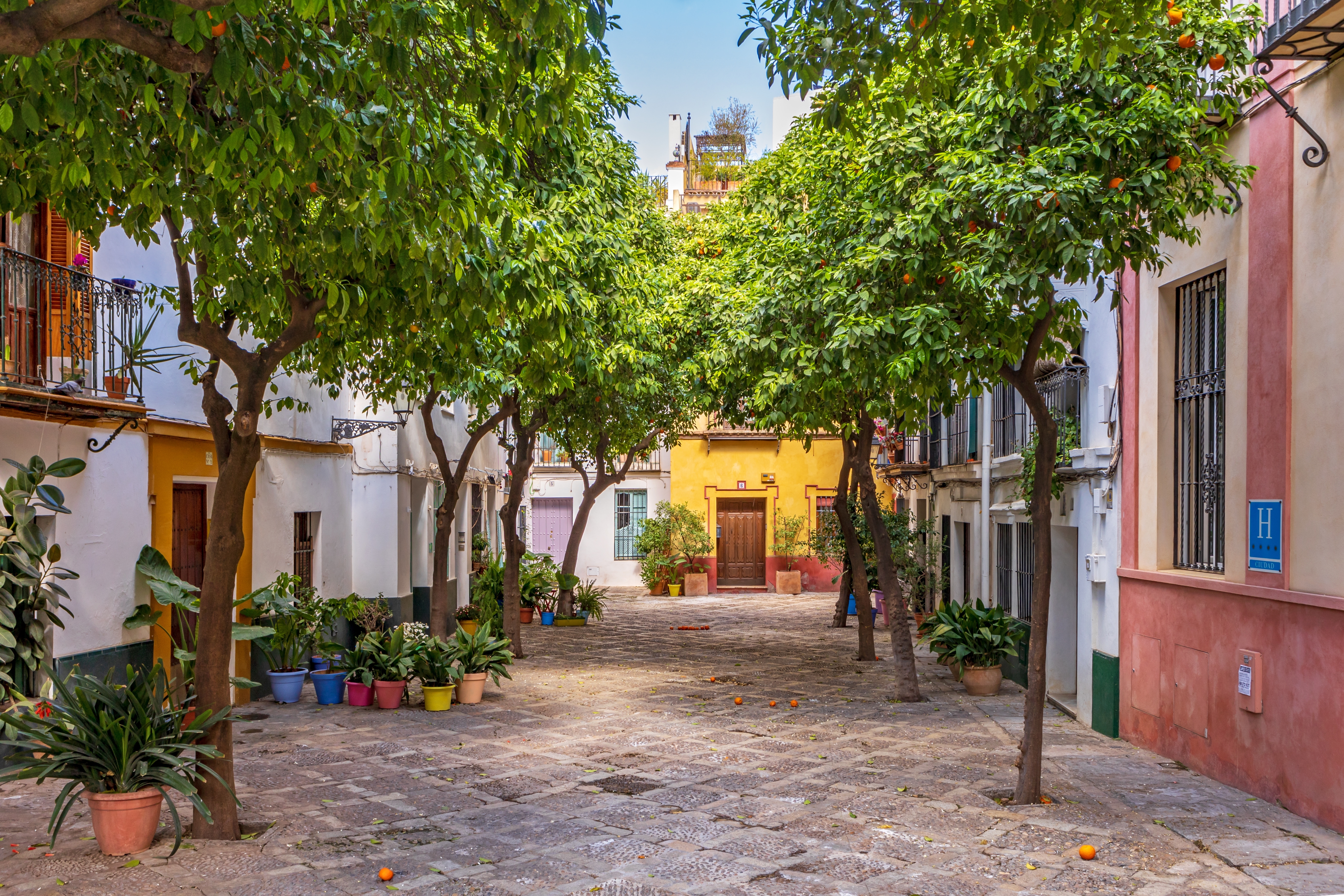Sevilla Barrio Santa Cruz Shutterstock 2331477005