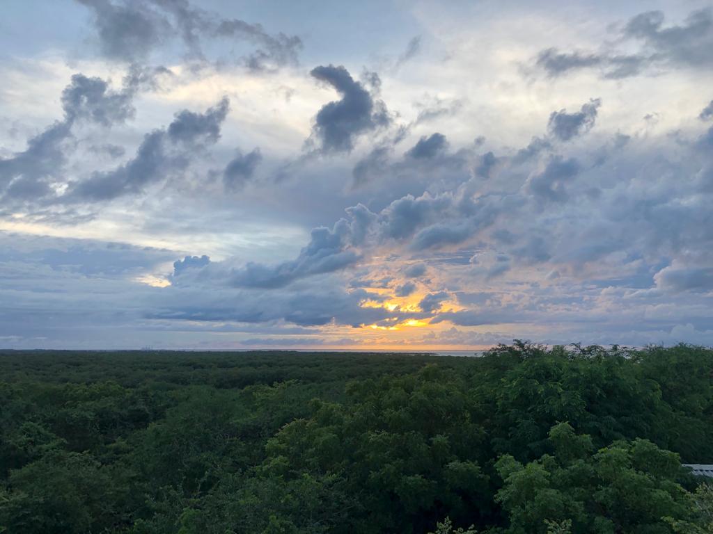 Whatsapp Image 2024 11 05 At 9.27.41 AM