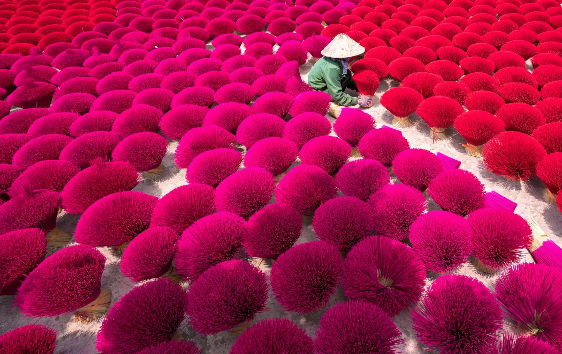 Shutterstock 726805075