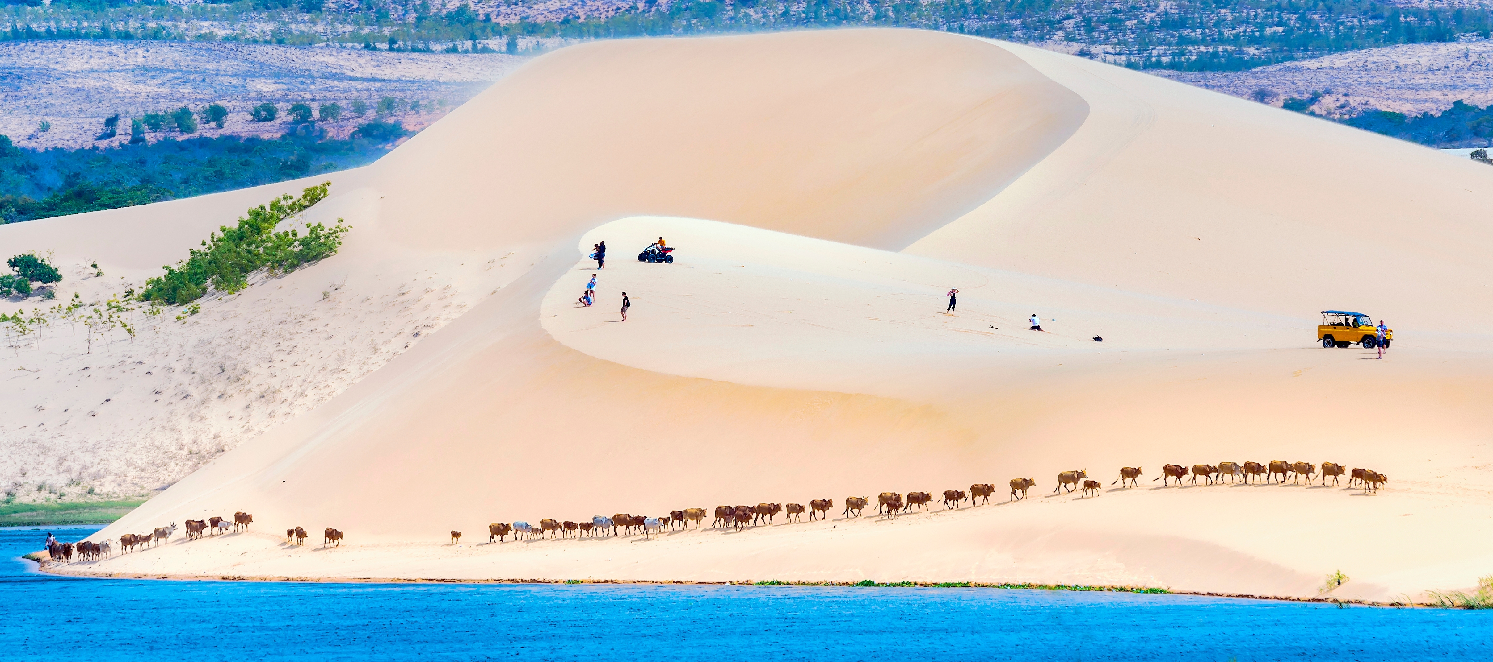 Stranden I Mui Ne Vietnam Shutterstock 2382910749