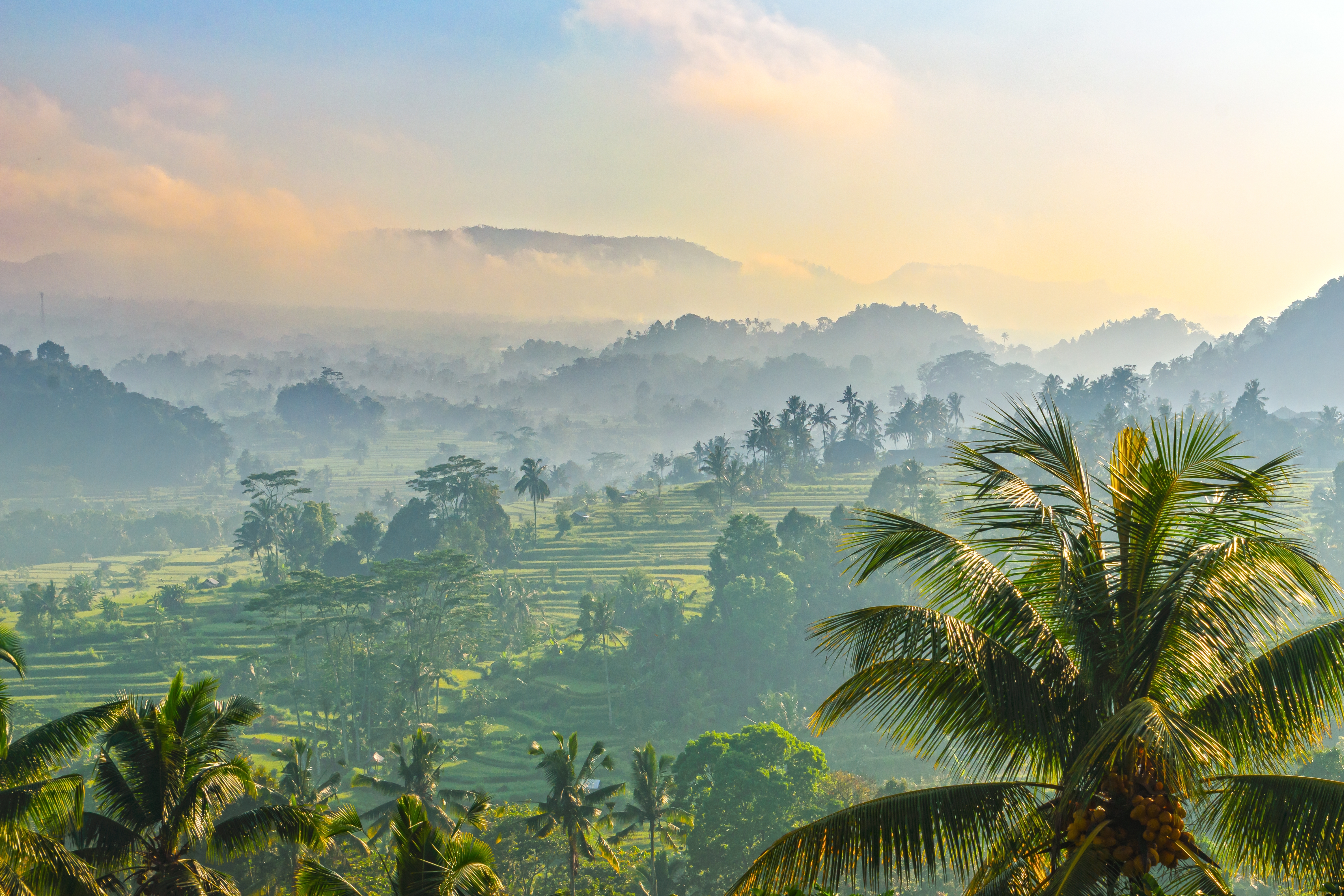 Sideman Bali Shutterstock 2701537959