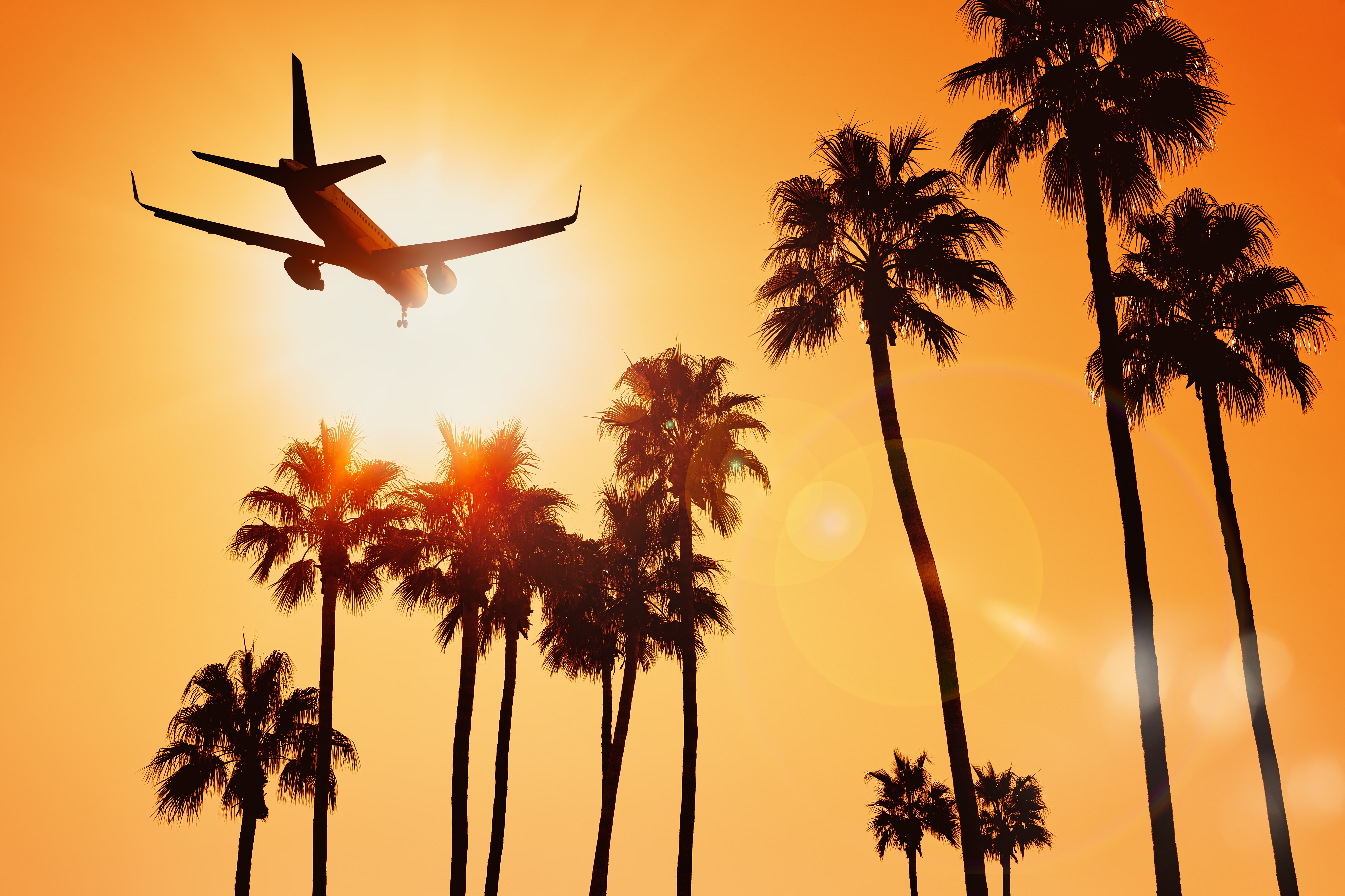 Fly Til Florida Shutterstock 2125638920