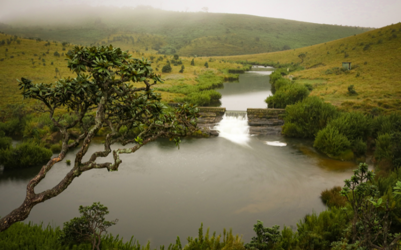 Horton Plains 1