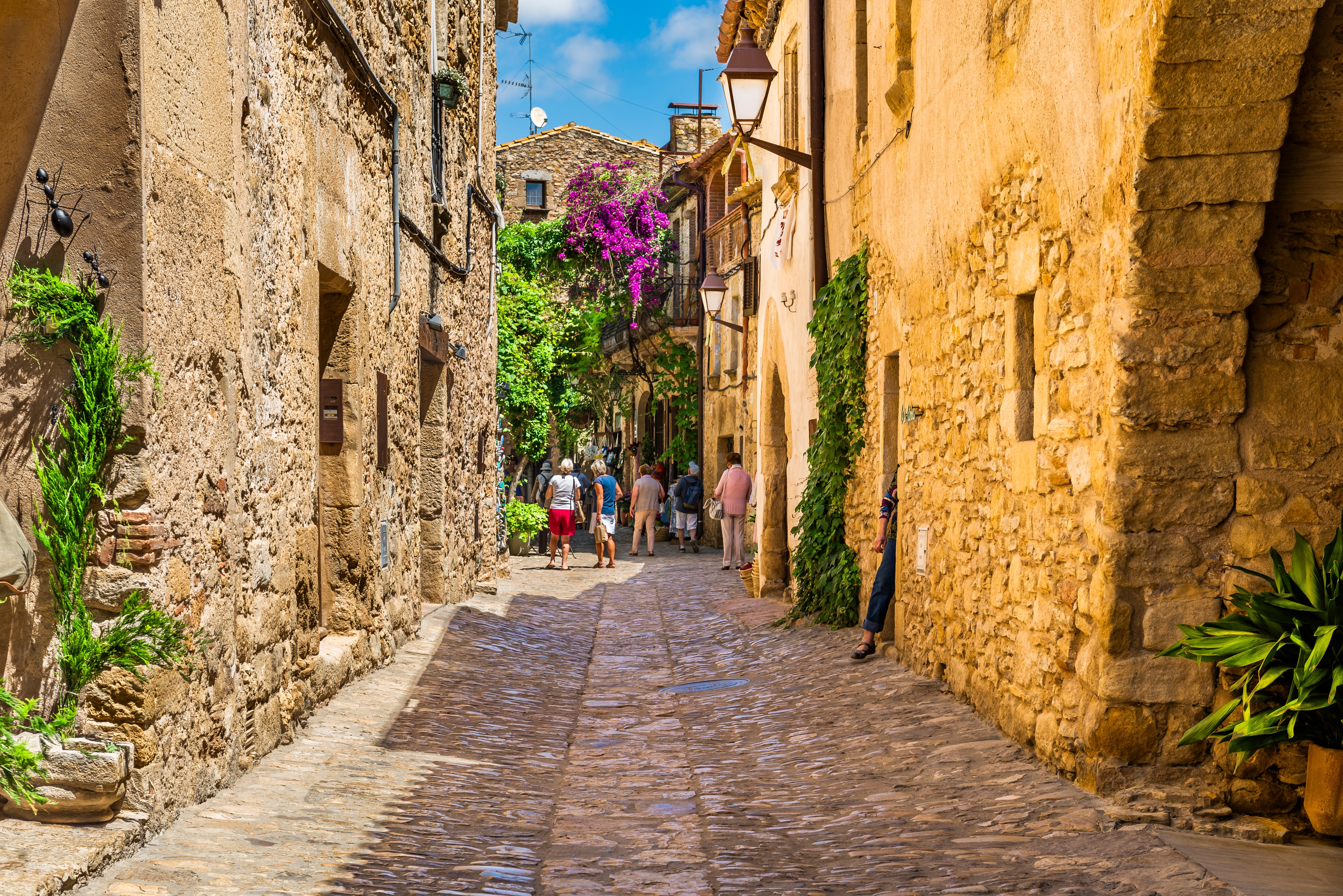 Pals Shutterstock 2536341487