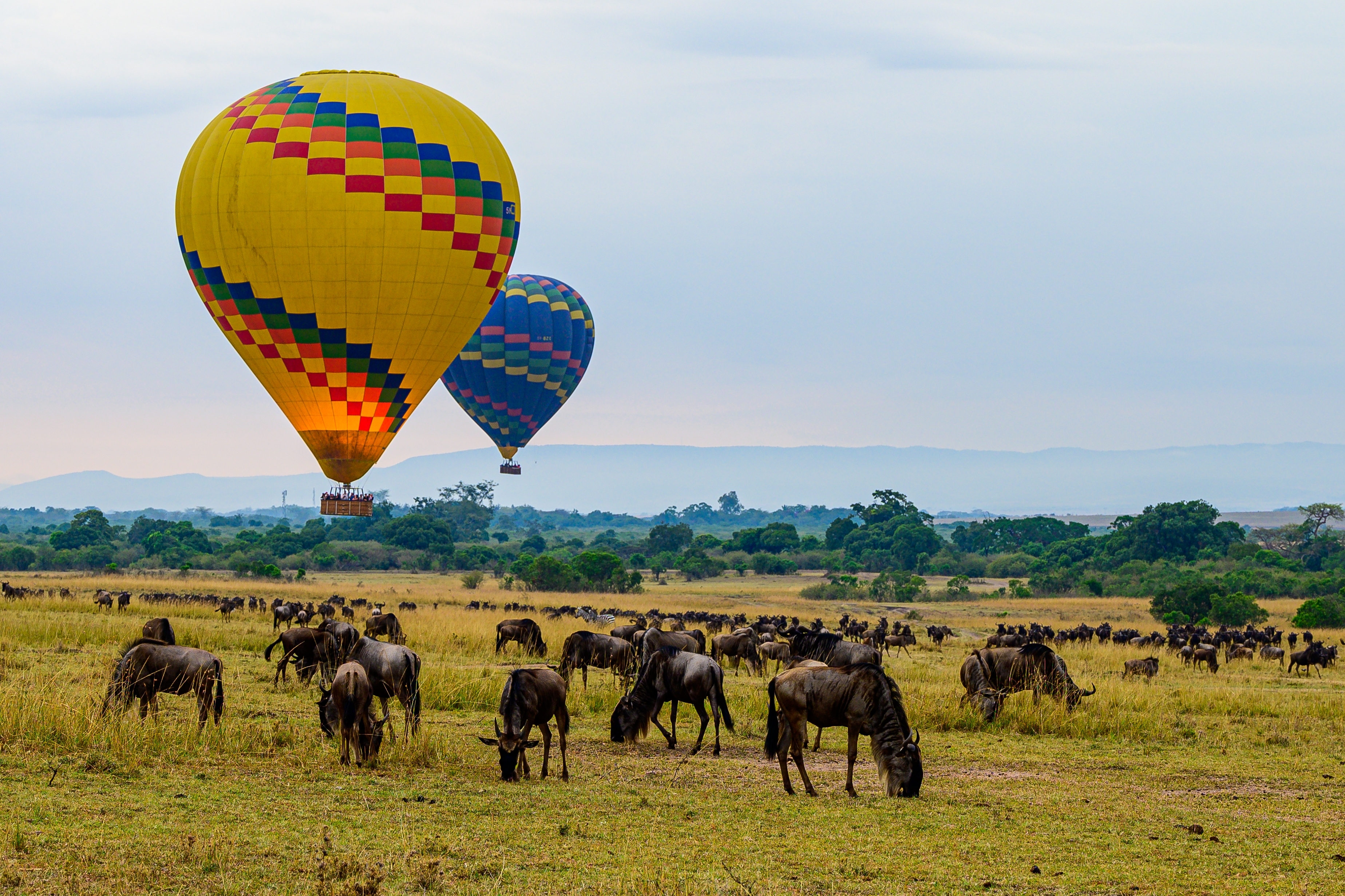 Balloon Safari I Masai Mara Shutterstock 2194560075