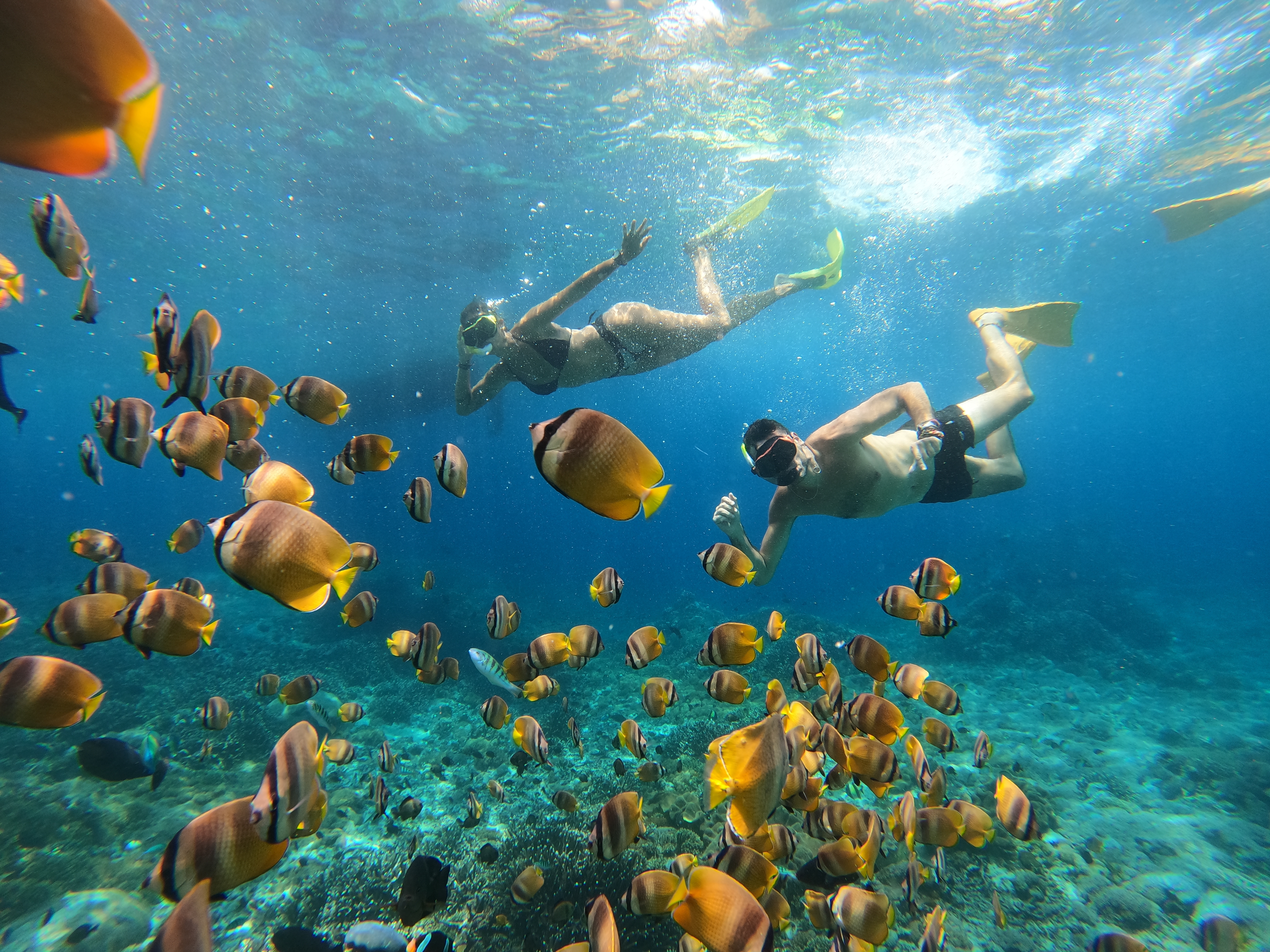 Shutterstock 2399418191 (Exploring The Underwater Beauty Of Bali. Nusa Penida Island Is A Marine Paradise)