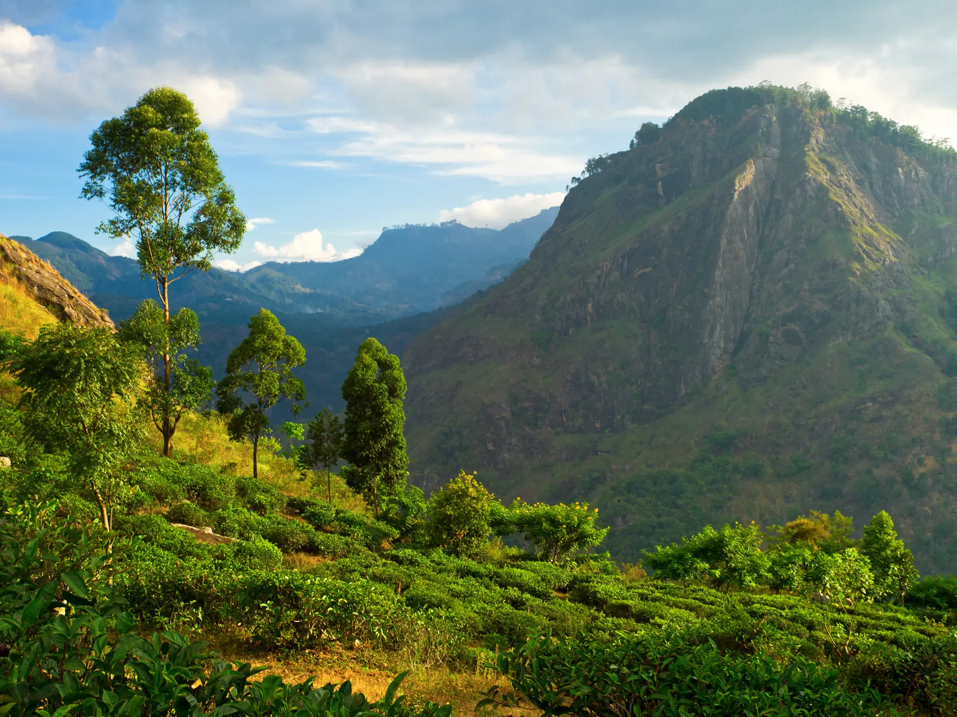 Ella Rock In Sri Lanka 112179413