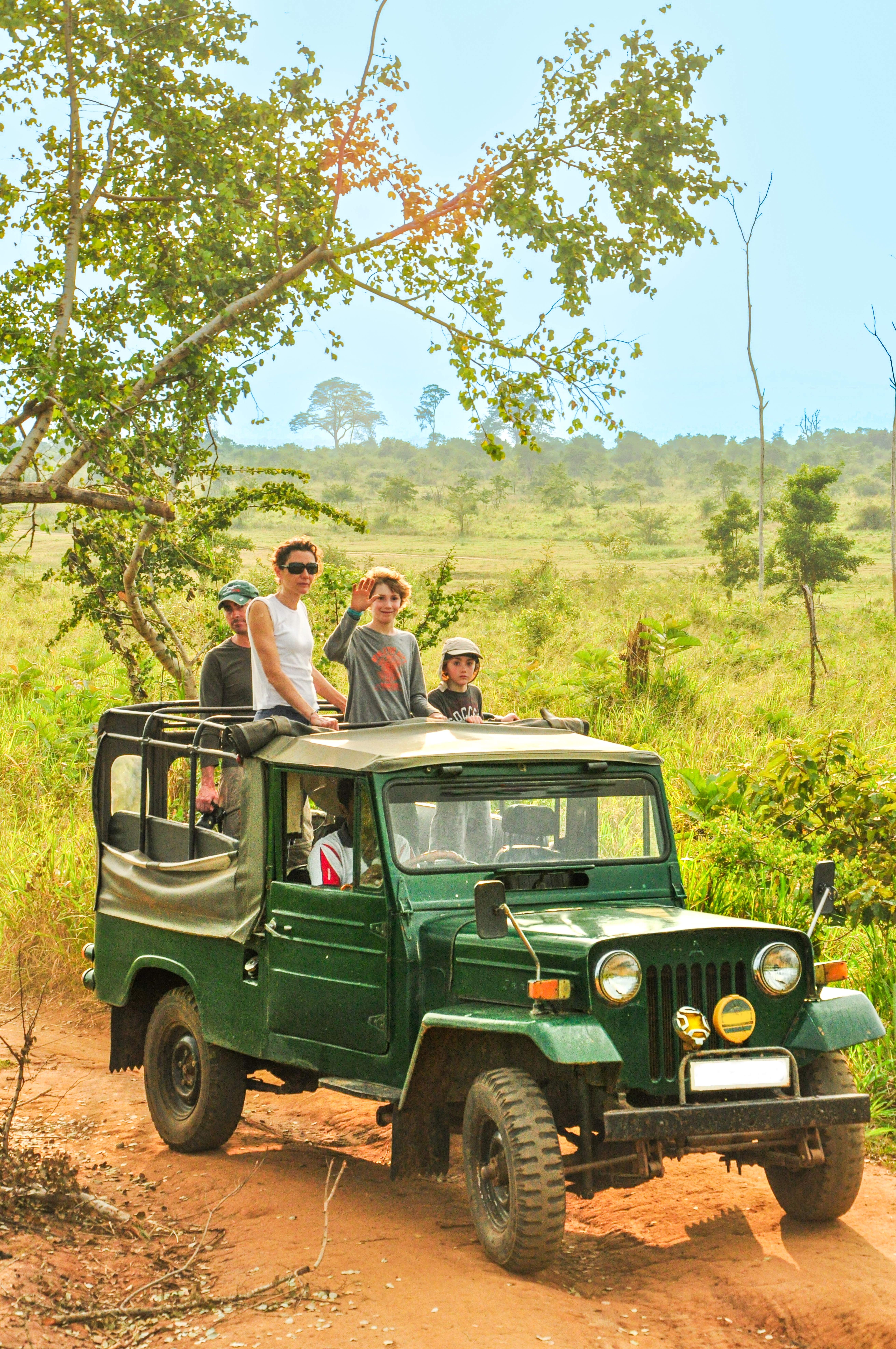 Shutterstock 2455970255 (Udawalawe National Park, Sri Lanka, Family Safari, 12 May 2019.)