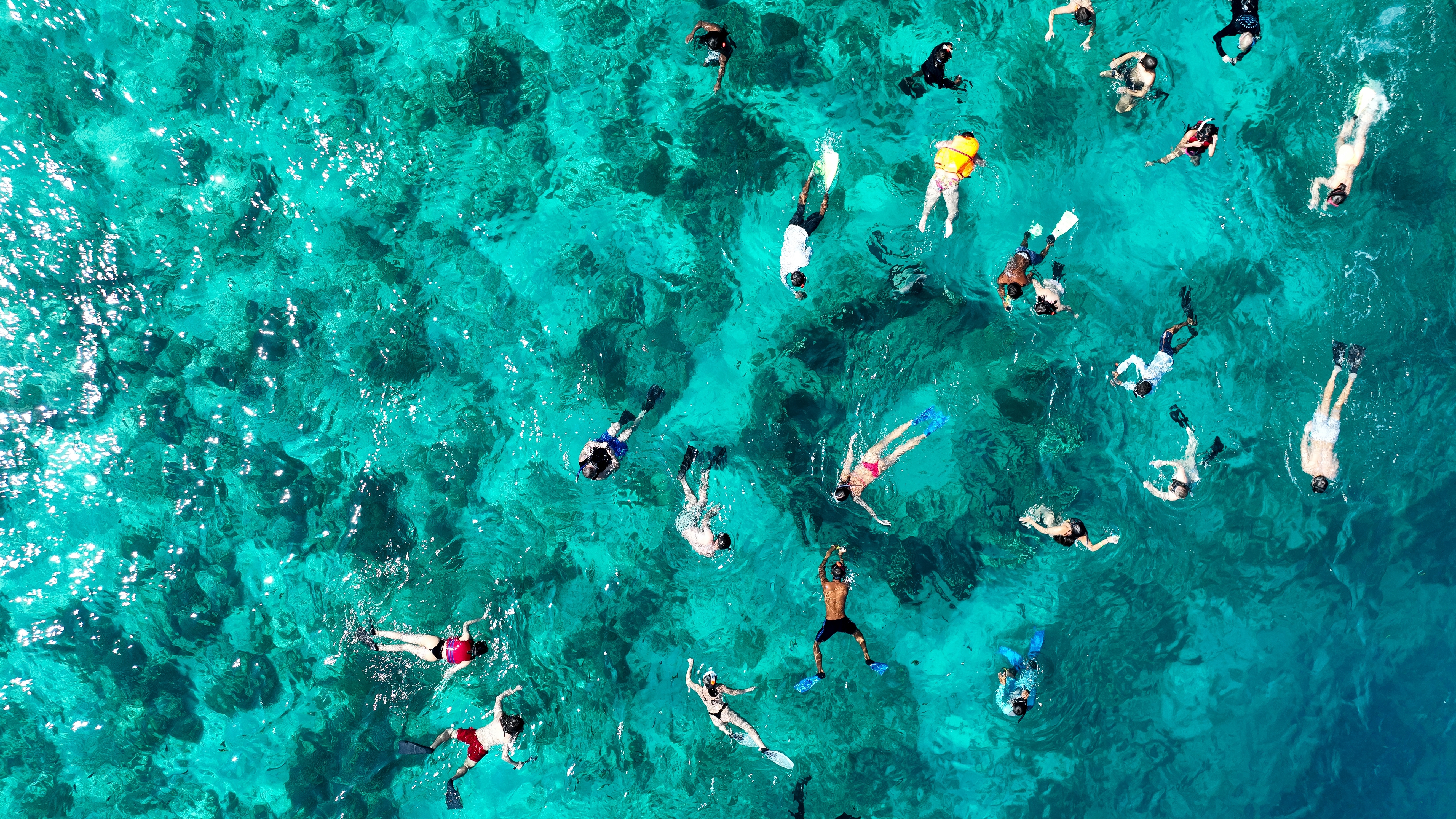 Shutterstock 2634804599 (Turister Snorkler På Bask Nest Skulptur Mellem Øerne Gili Meno Og Trawangan.)