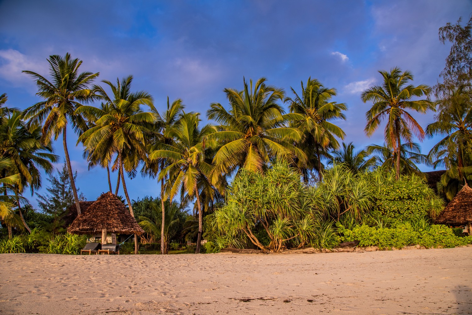 Pongwe Beach Hotel Zanzibar Hotel 1