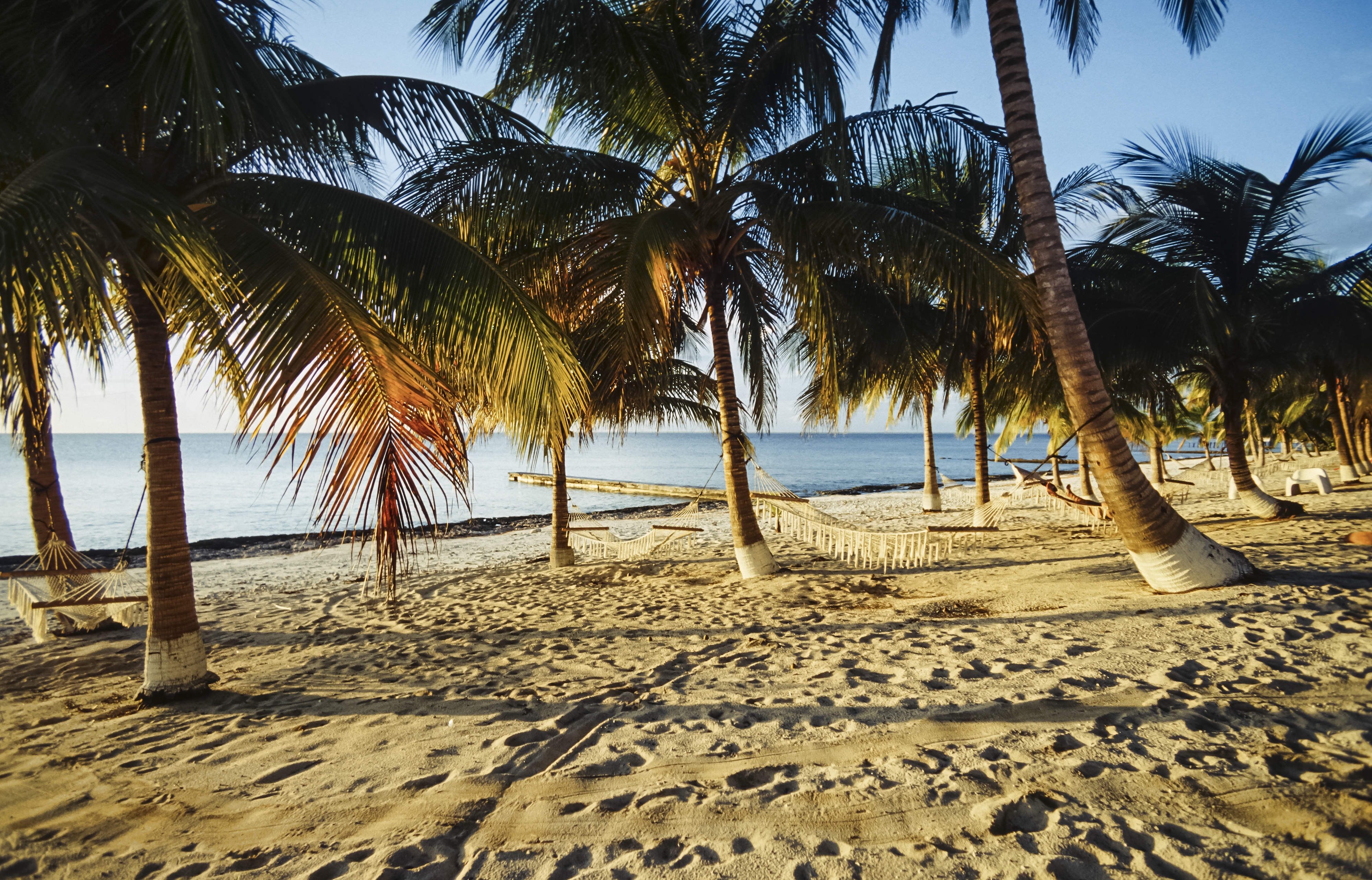 Maria La Gorda Beach Cuba Shutterstock 460023736