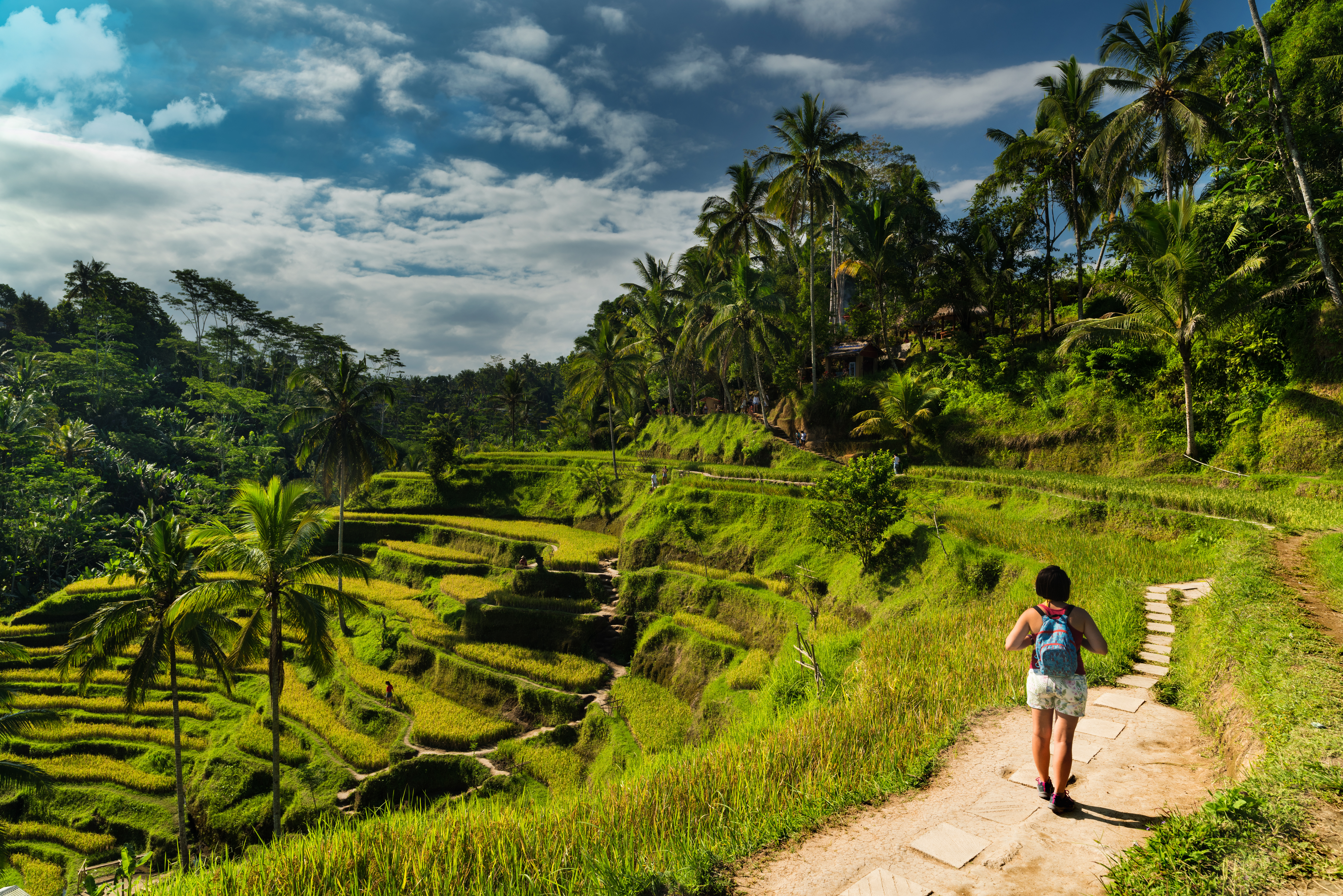 Shutterstock 695970166 (Tourist Girl Touring Tegallalang Rice Terrace Fields. UNESCO World Heritage Site In Ubud Town. Bali Island, Indonesia)