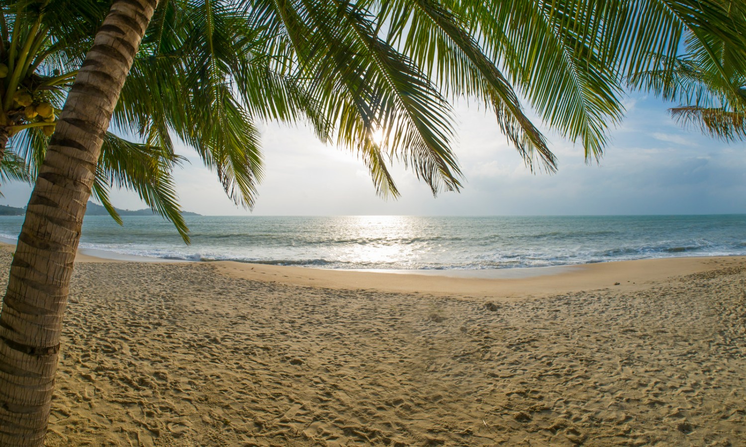 Lamai Beach Koh Samui Thailand