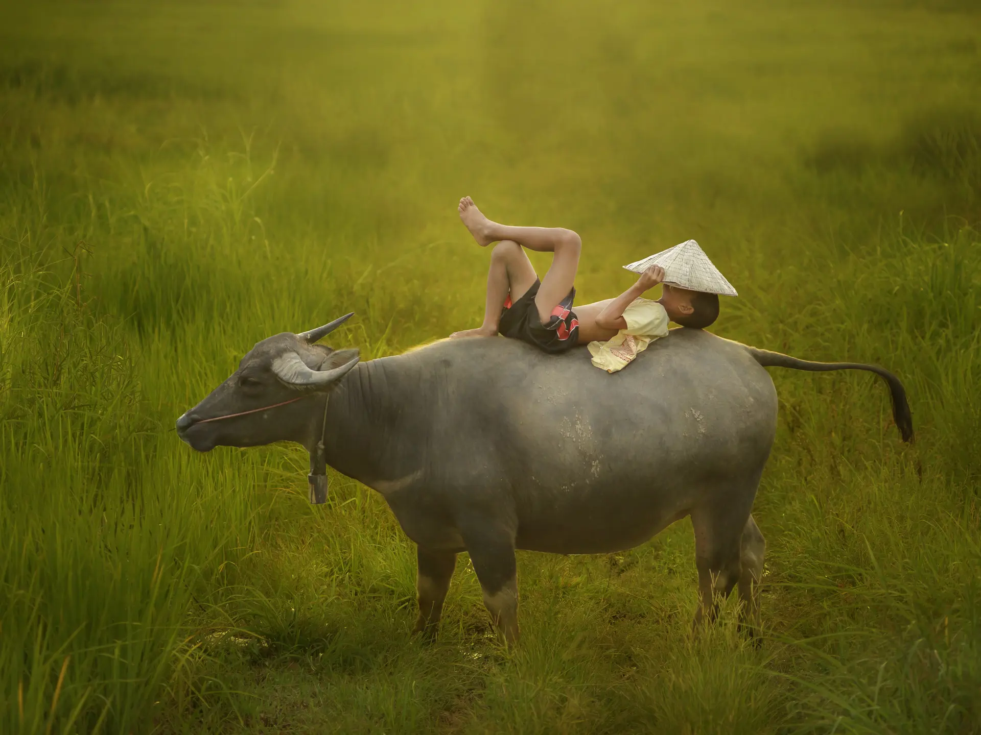 Adobestock 69792629