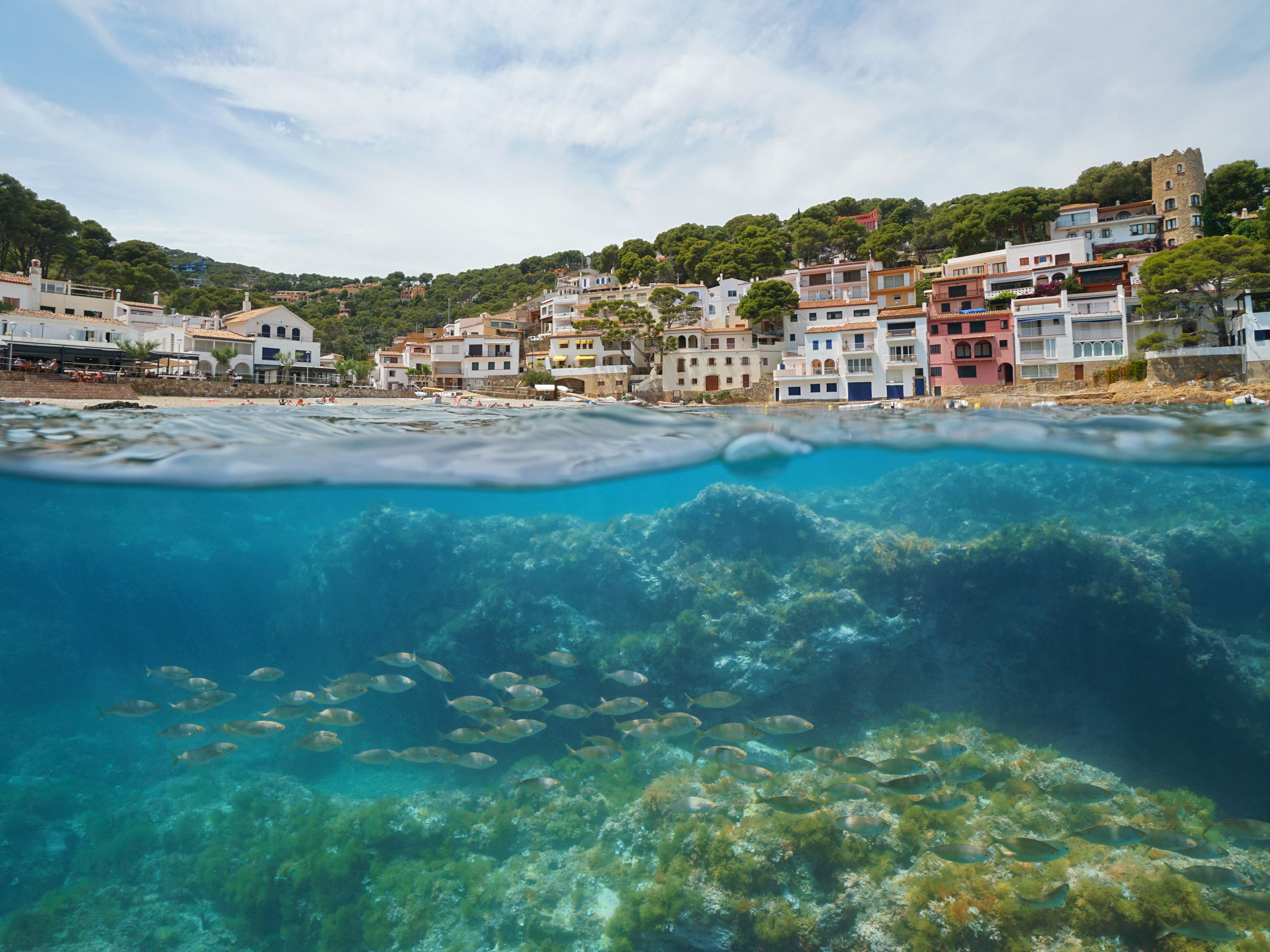 Costa Brava Snorkling Shutterstock 1431283664
