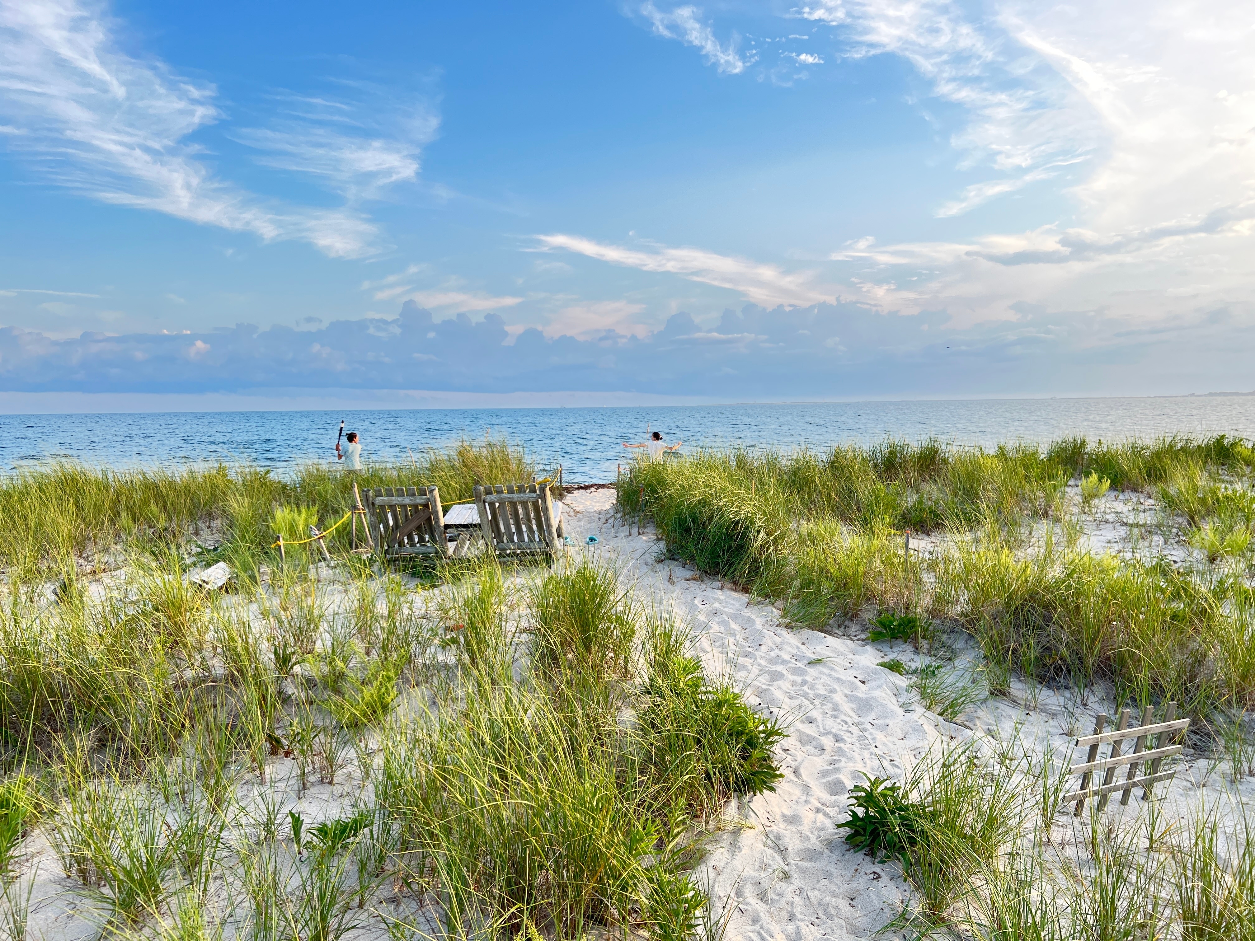 Shutterstock 2485519095 Cape Cod Bayside Scenic