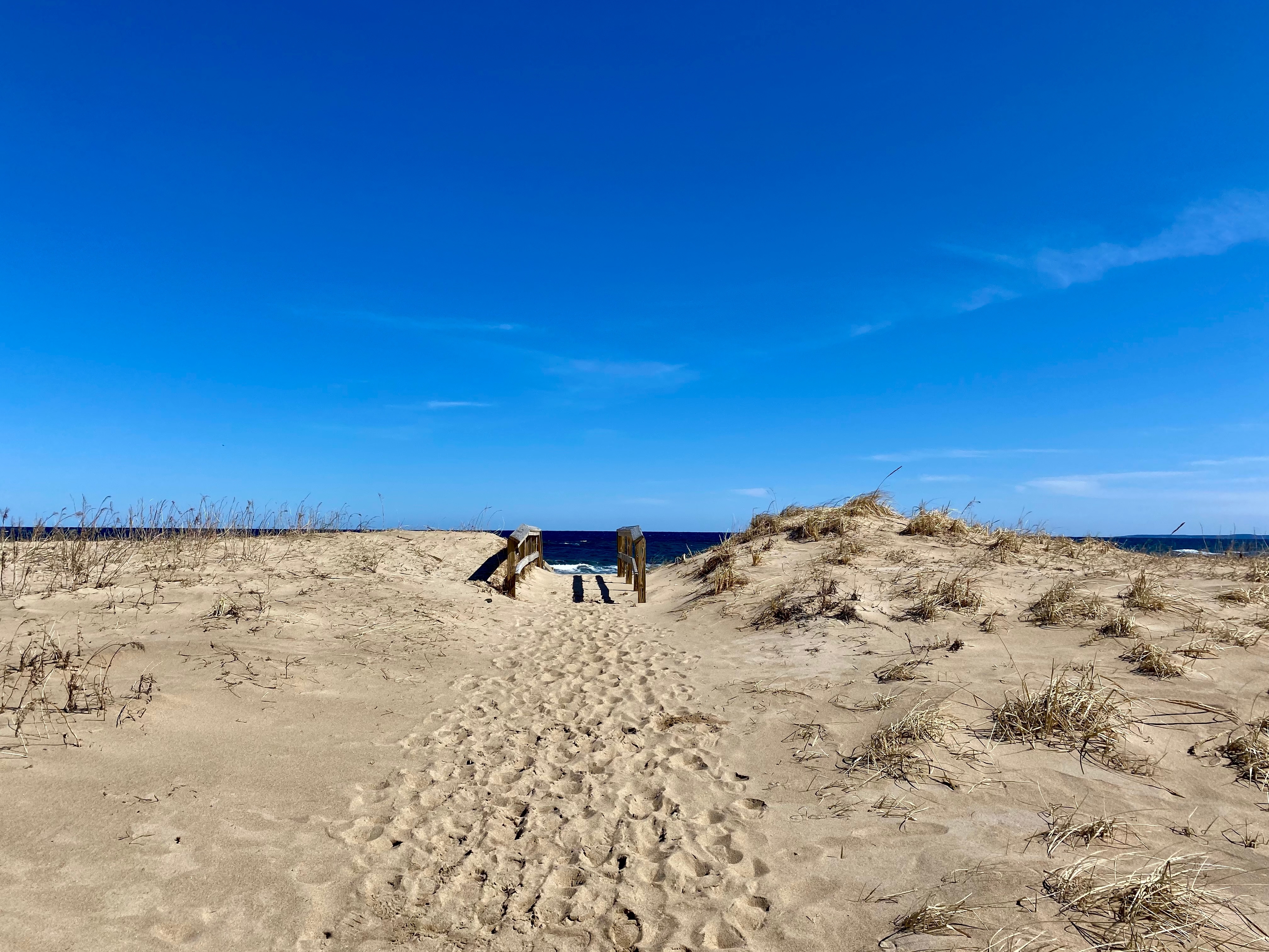 Shutterstock 2546104587