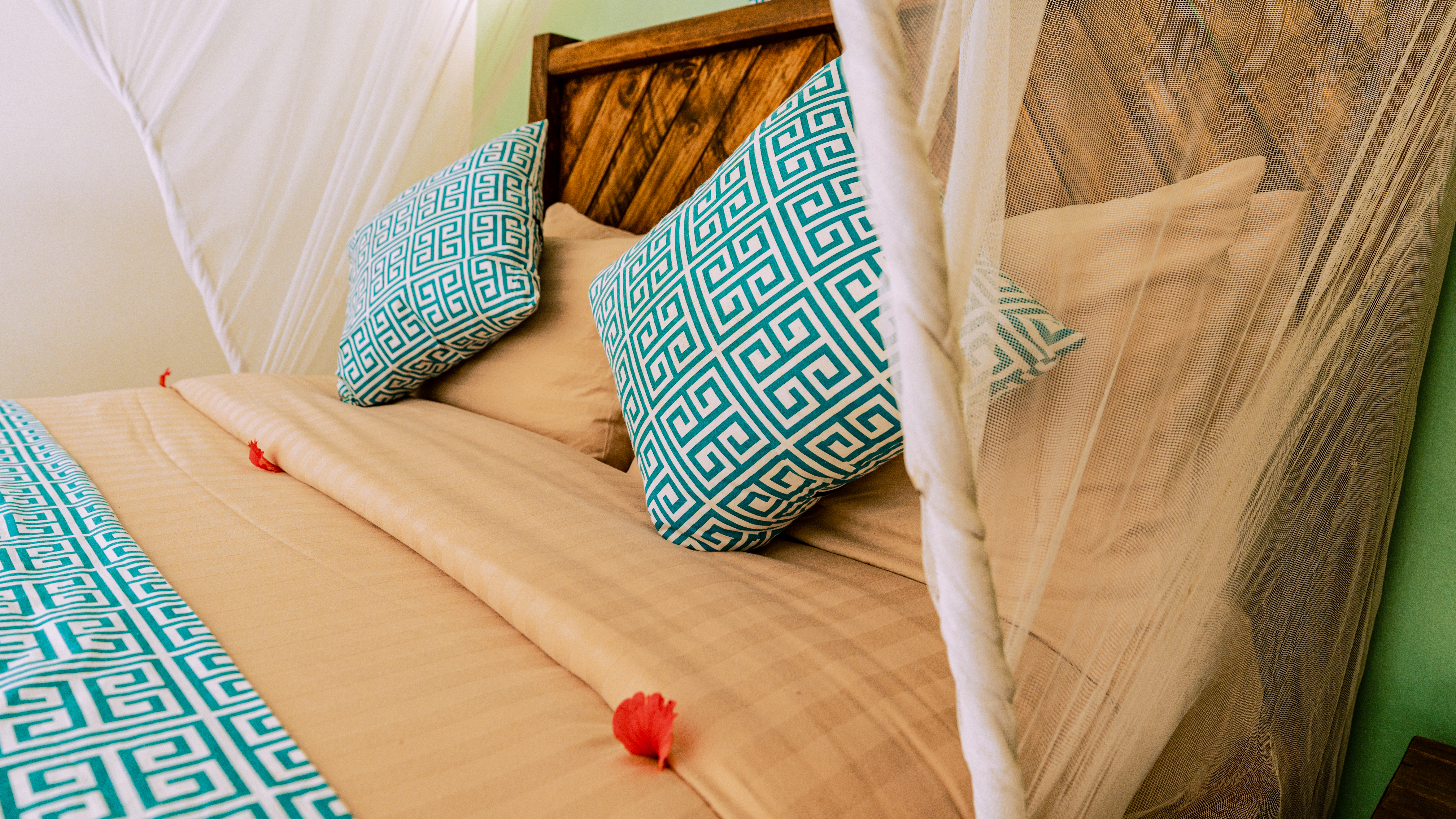 Standard Family Room 54979638989 O