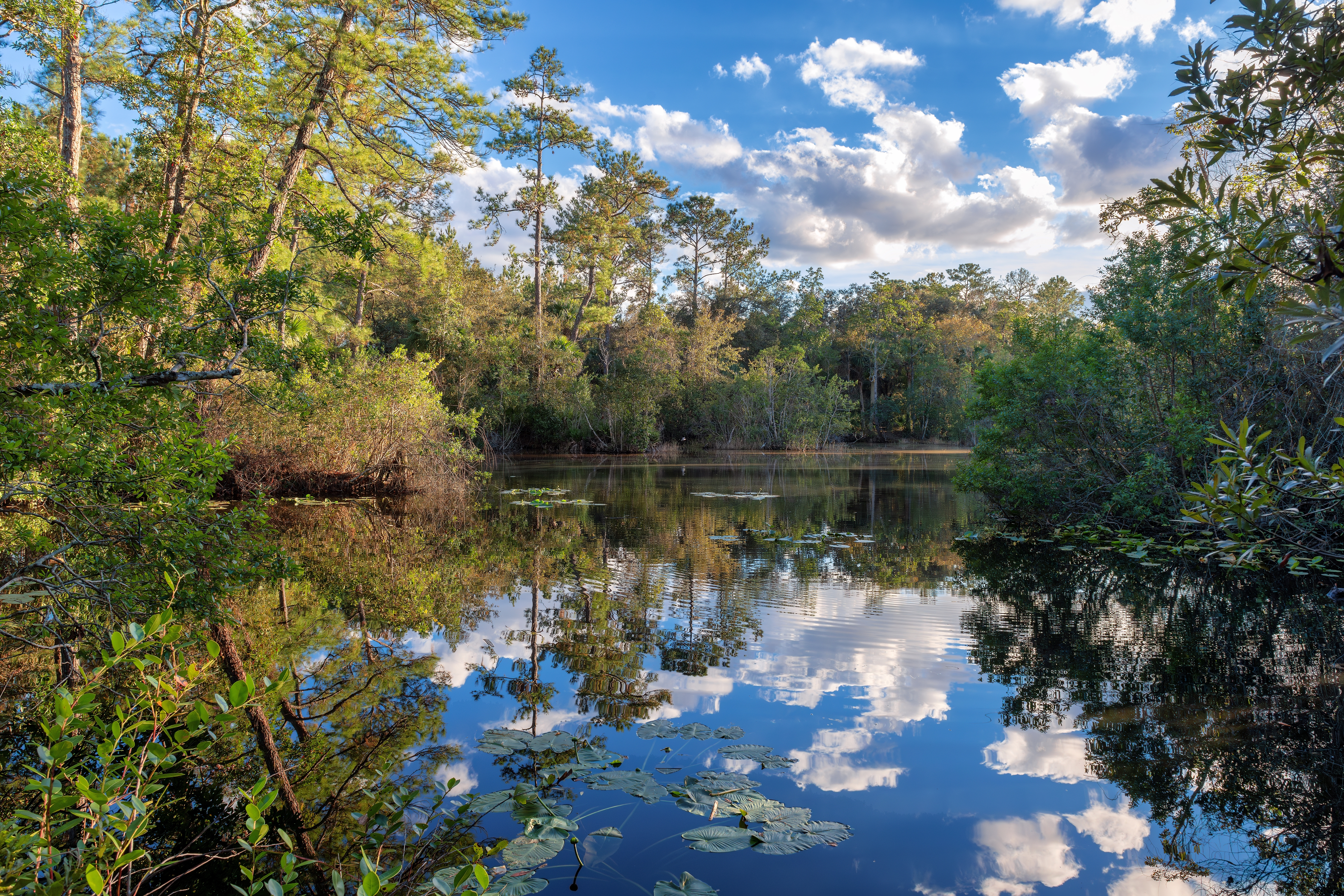 Wekiwa Springs State Park Shutterstock 2315164179