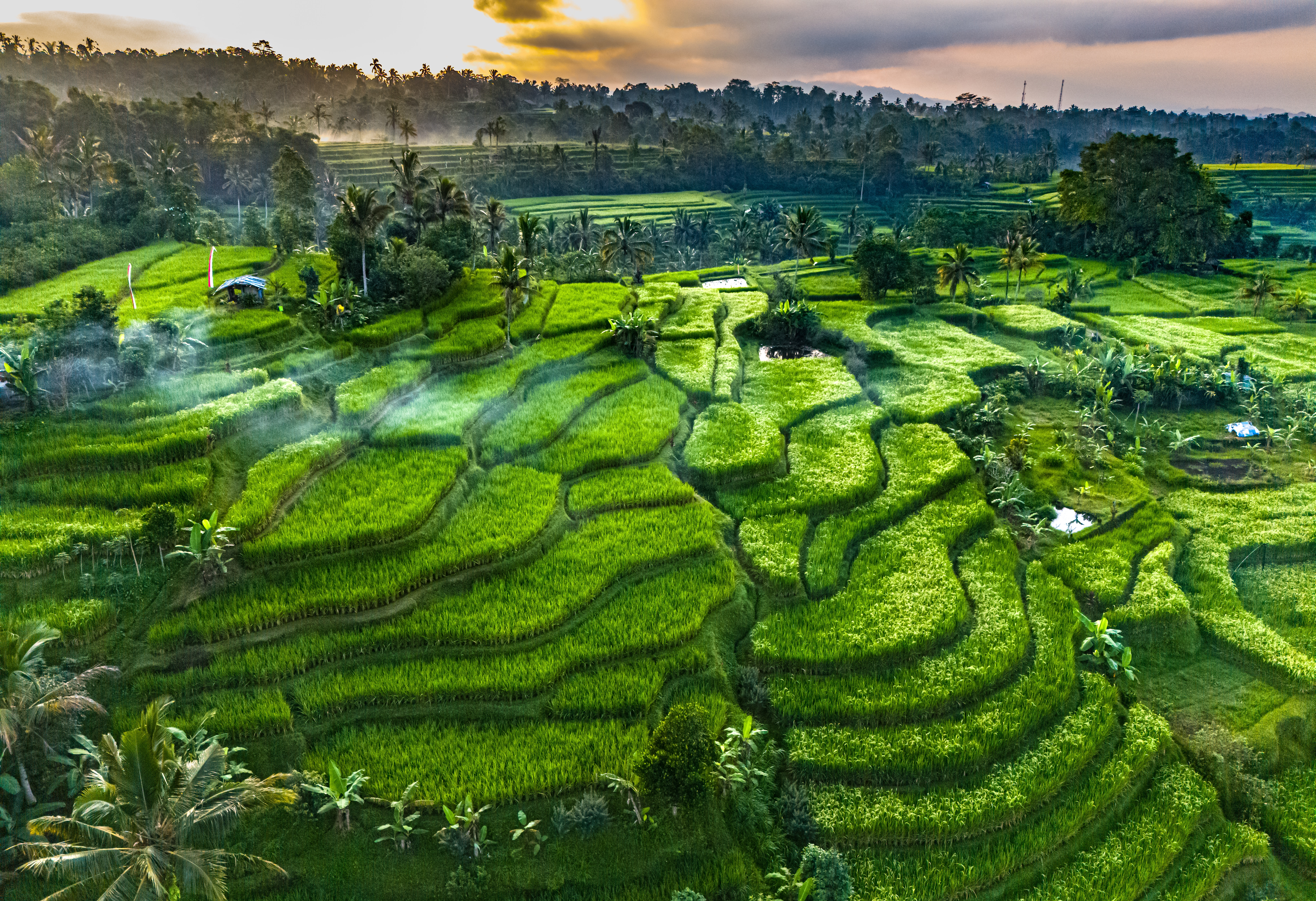 Jatiluwih Bali Shutterstock 2499243495