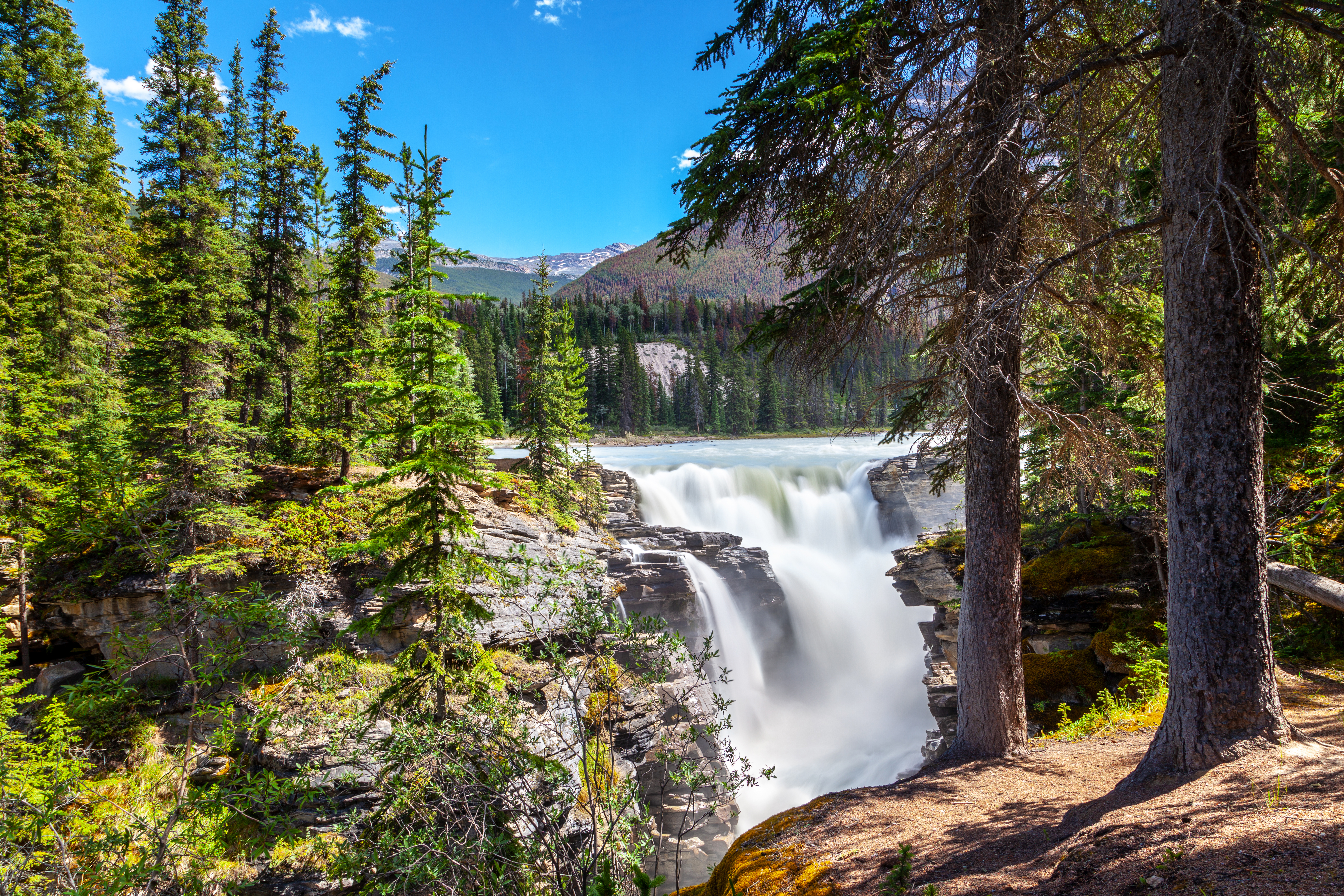 Athabasca Falls I Jasper NP Er Et Af De Kraftigste Vandfald I Canadian Rockies Istock 1000409444