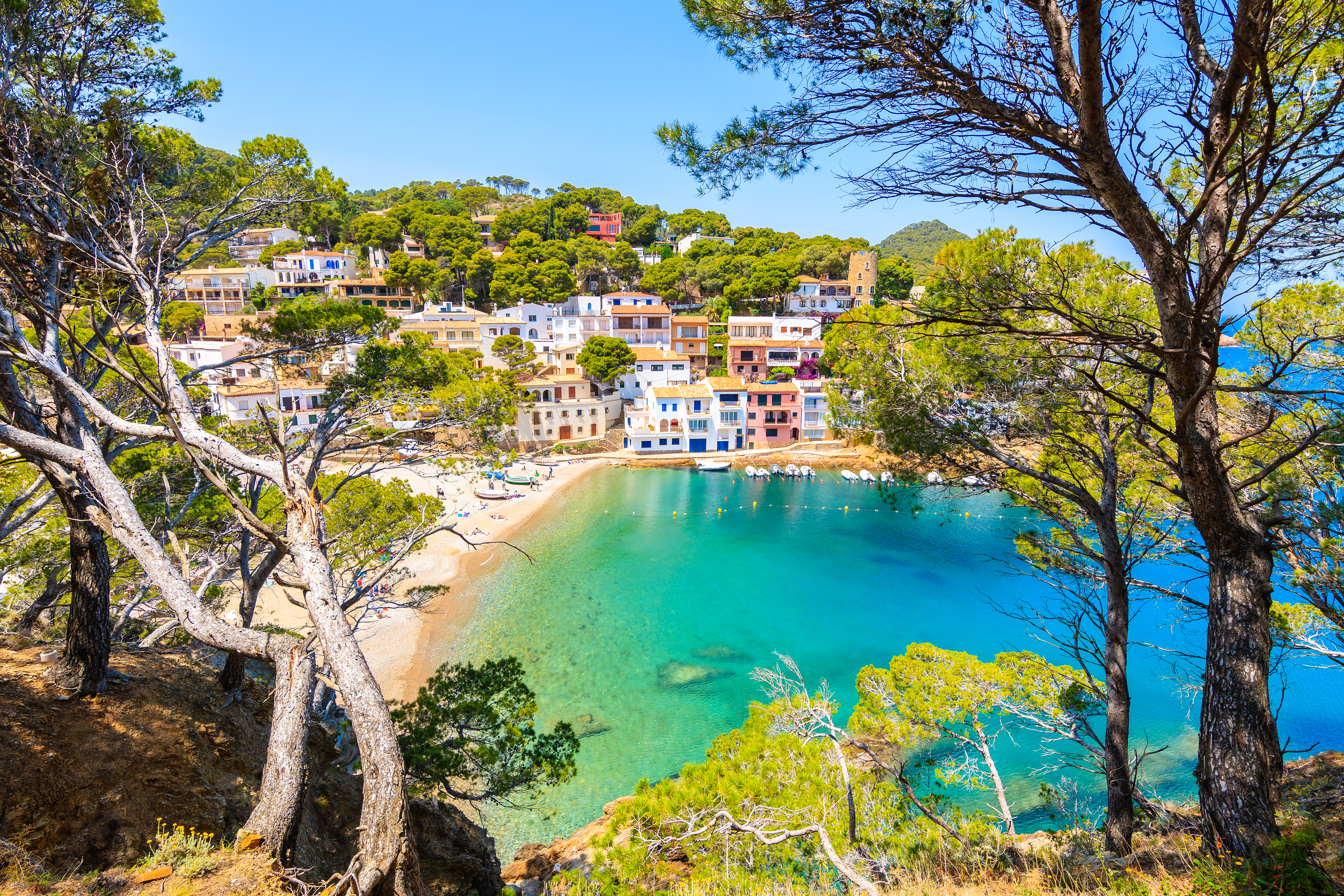 Sa Tuna Shutterstock 1419847724