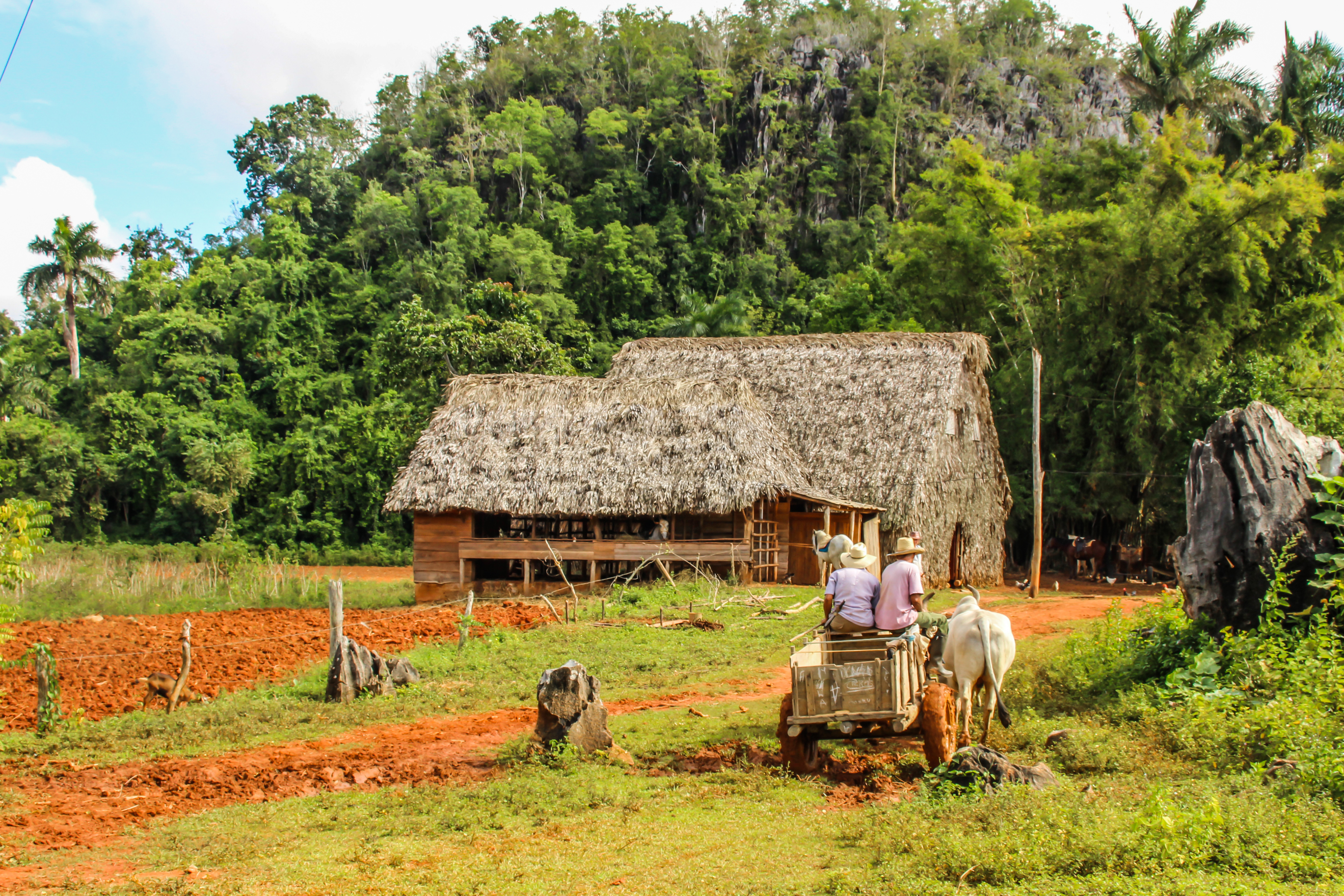 Vinales Shutterstock 1782211127