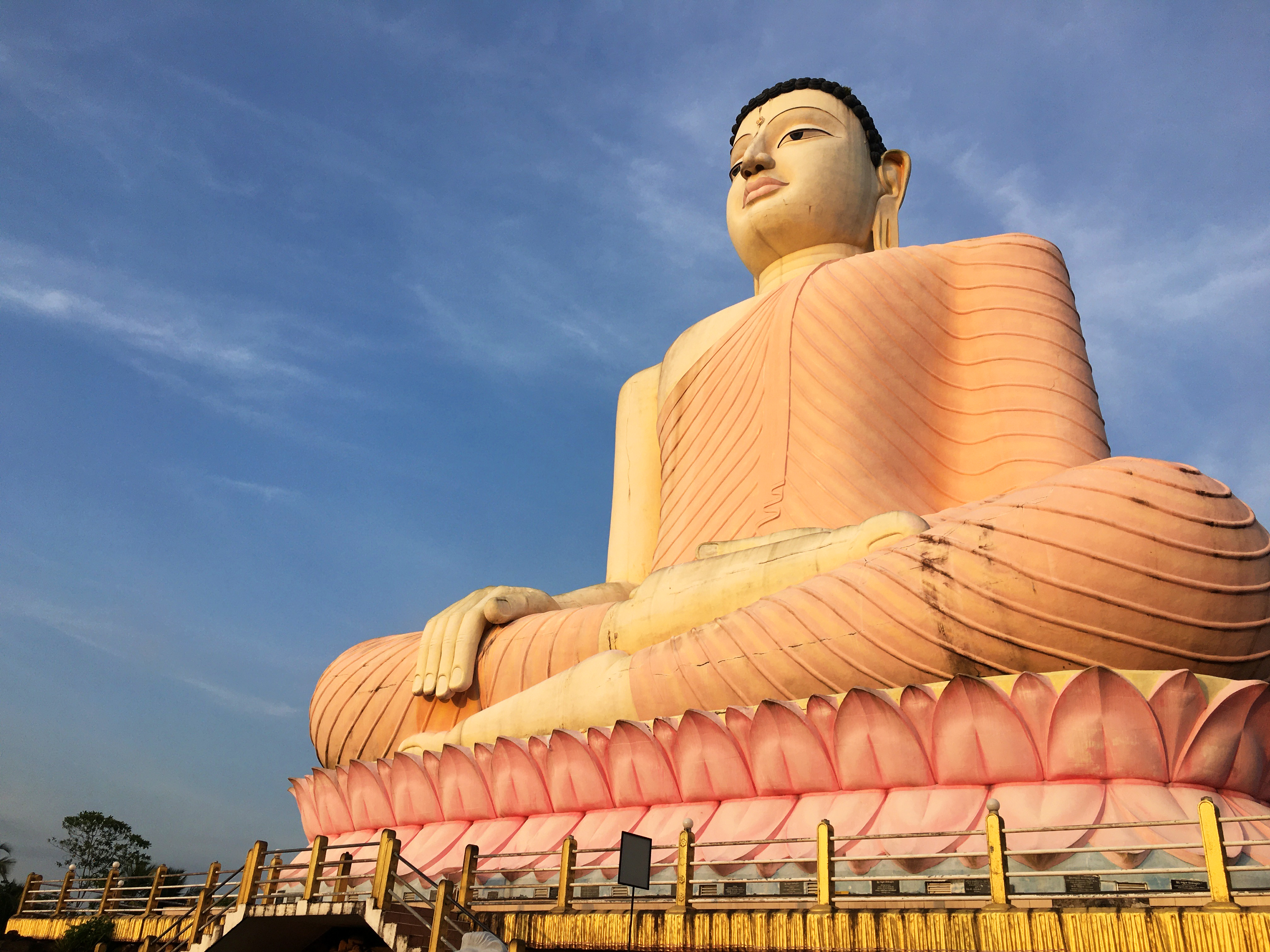 Shutterstock 1729977559