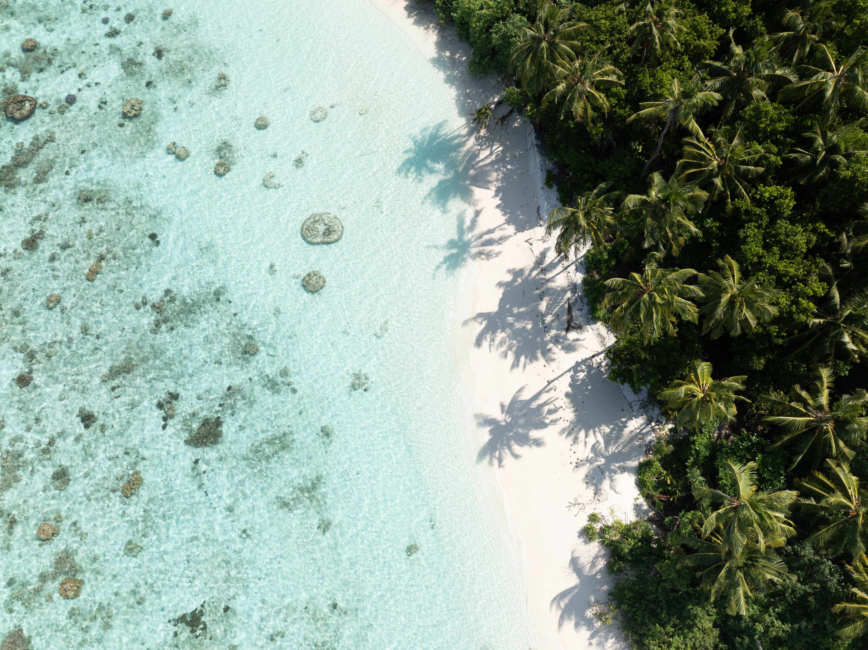 Olhuveli Mladives 2026 (3)